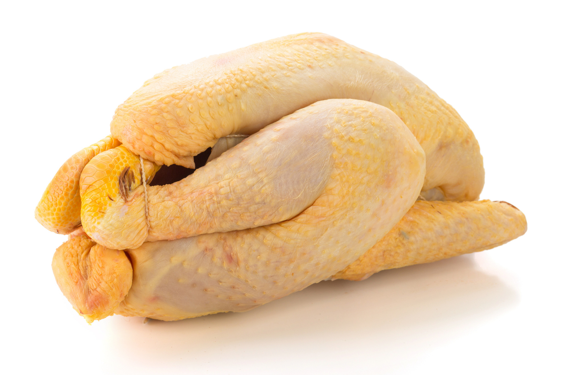 有趣,健康的消费方式——认养一只三黄鸡!🐥🌱 三黄鸡是一种优质