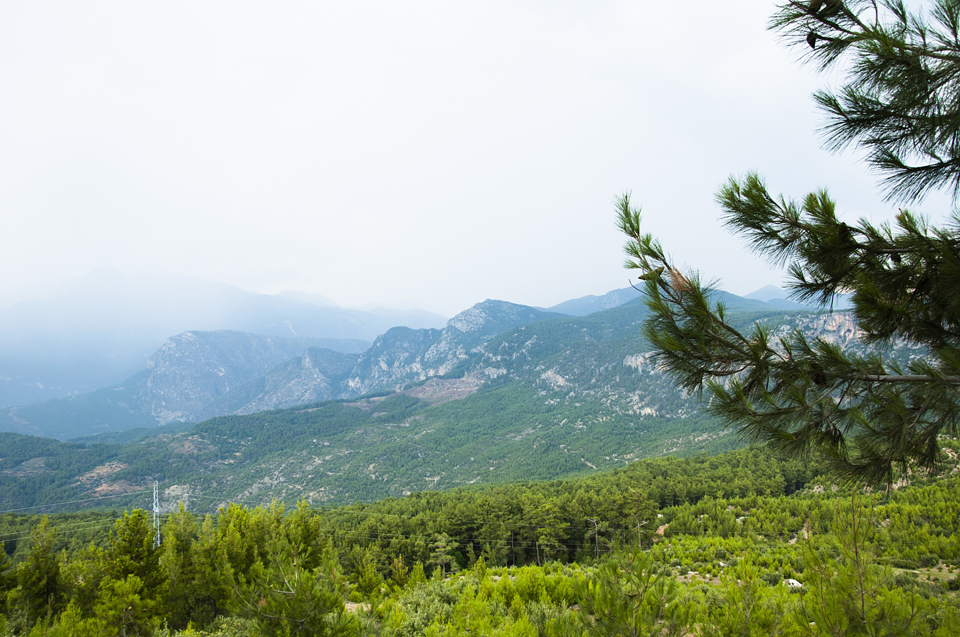 武汉青龙山森林公园位于湖北省武汉市江夏区城关纸坊镇东南,占地面积
