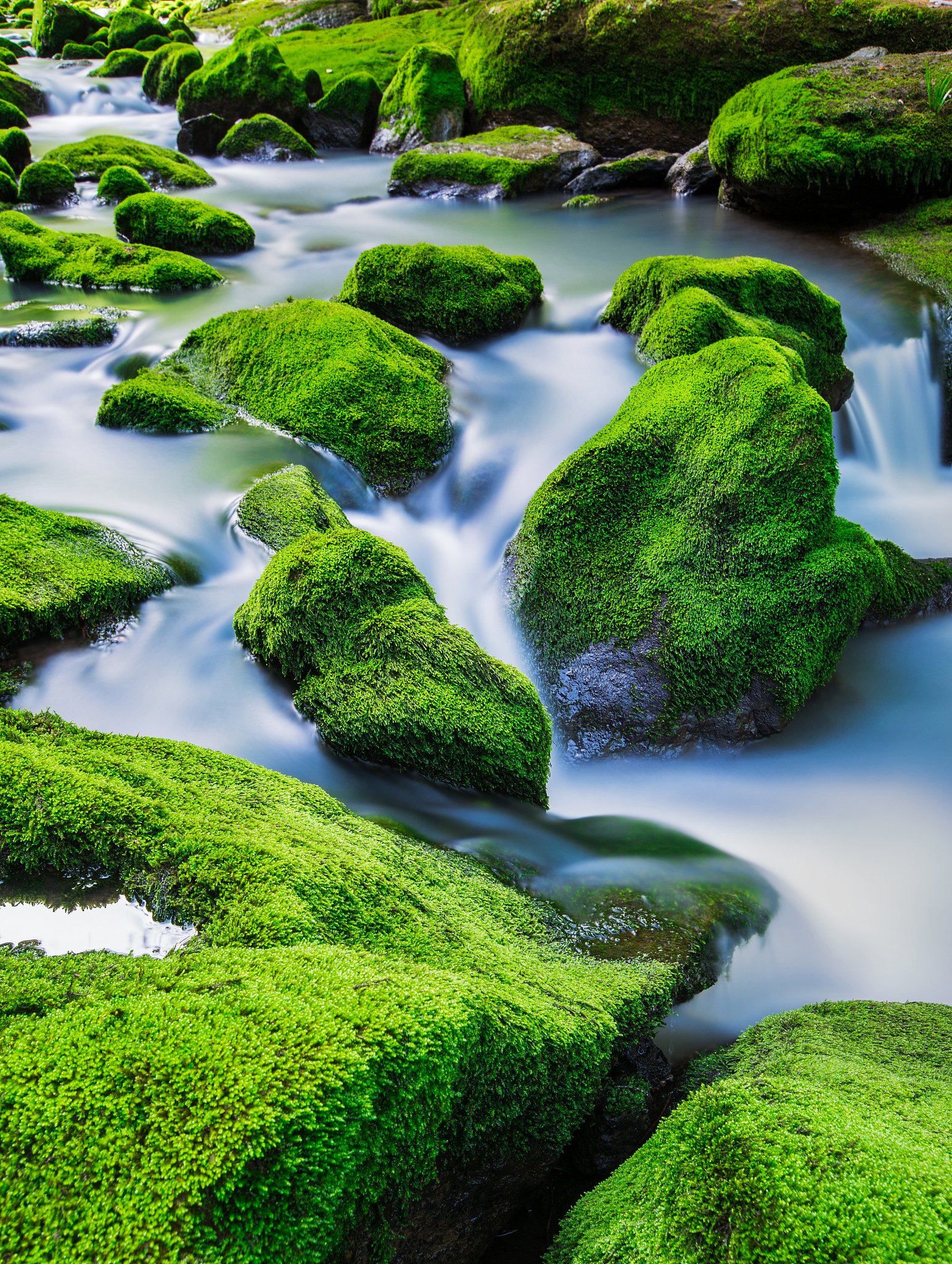 在自然界的宏伟画卷中,我是一条小河这一主题蕴含着无尽的生机与