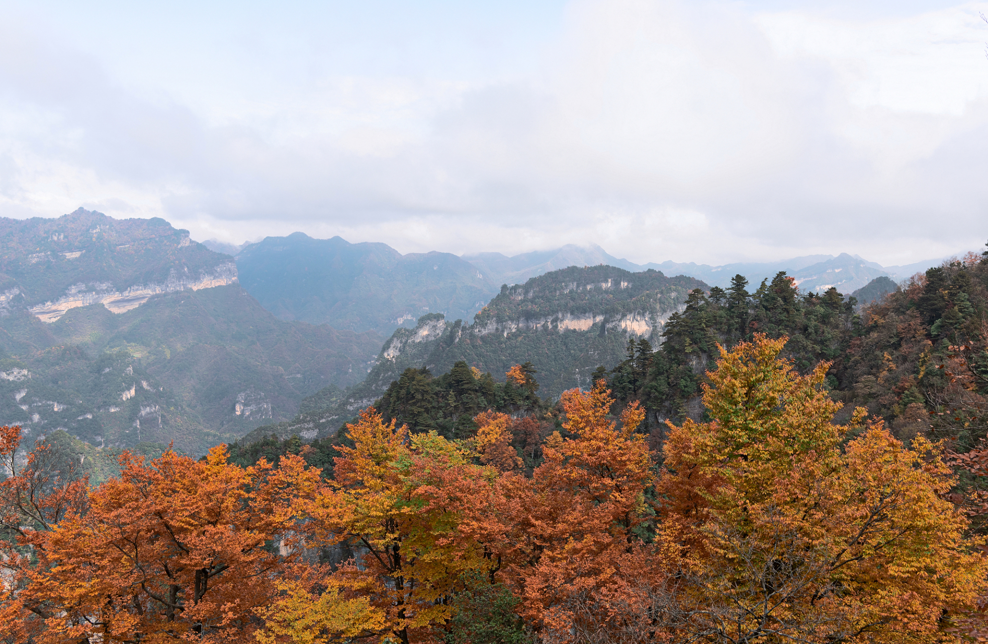 山城美景尽收眼底:探秘重庆秋天的奇观风景  重庆,这座山城拥有着壮丽