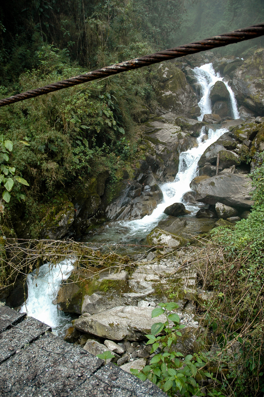 它就是牯牛降,牯牛降,位于石台县与祁门县交界处,是黄山山脉向西