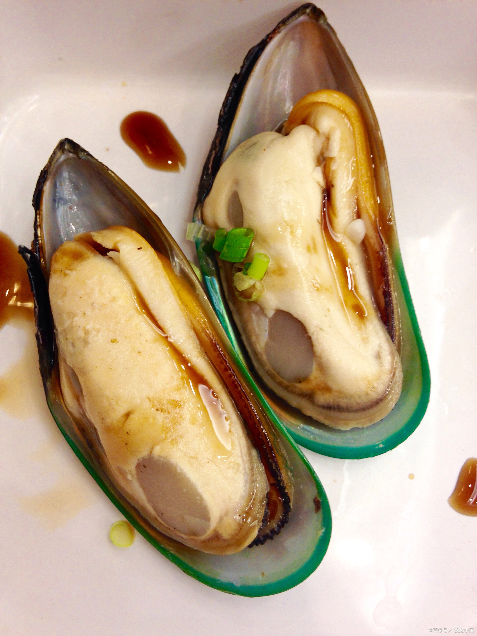 青口贝怎样做好吃?