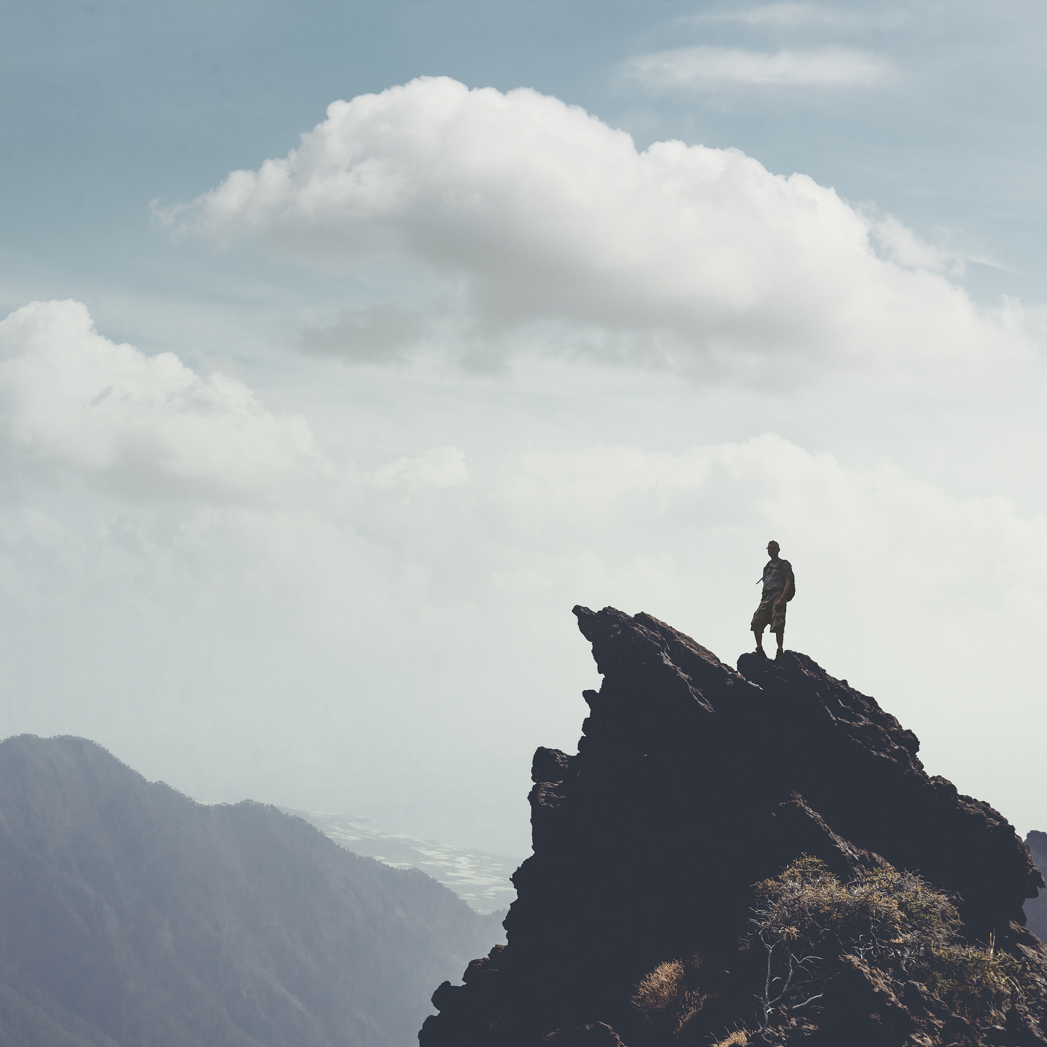 已非懵懂青春客,未肯轻易付挚情!