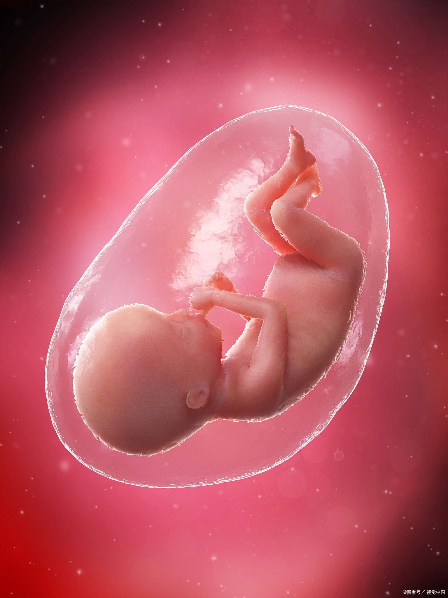 34周的胎儿,宛如一颗即将成熟的果实,其生长发育已步