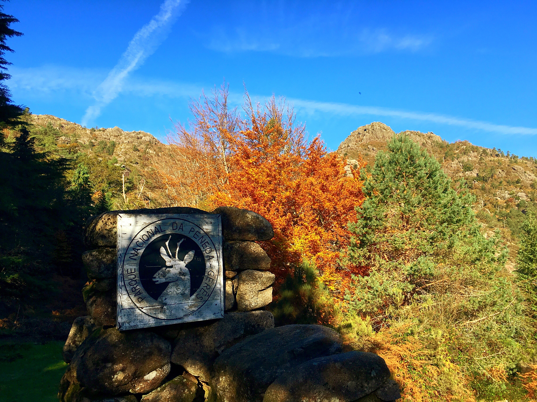 追寻自然之美,不妨前往贺兰山脚下的宁夏明珠——苏峪口国家森林公园