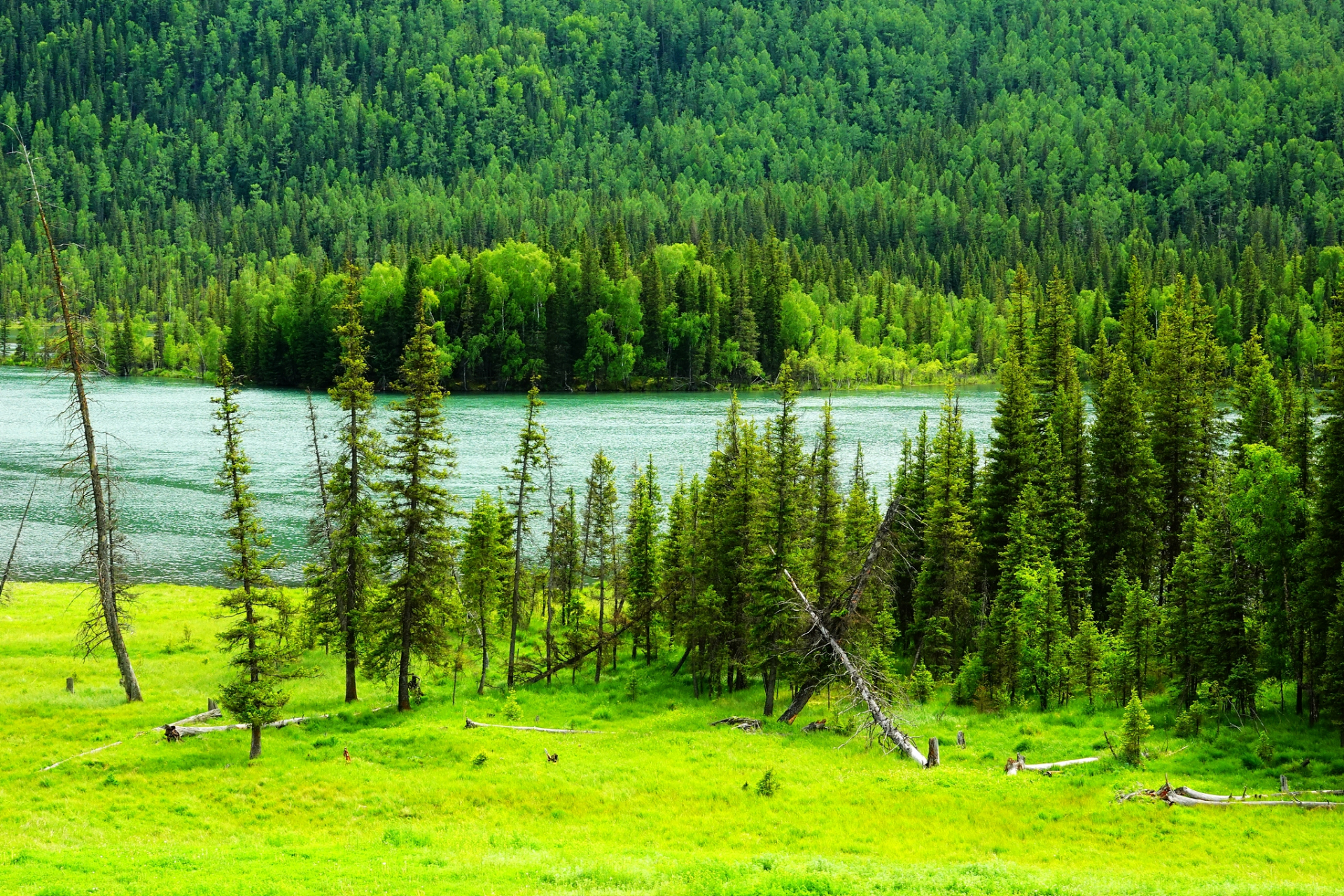 位于新疆北部的阿勒泰地区,是一处以风景美丽,风光旖旎著名的山水胜地