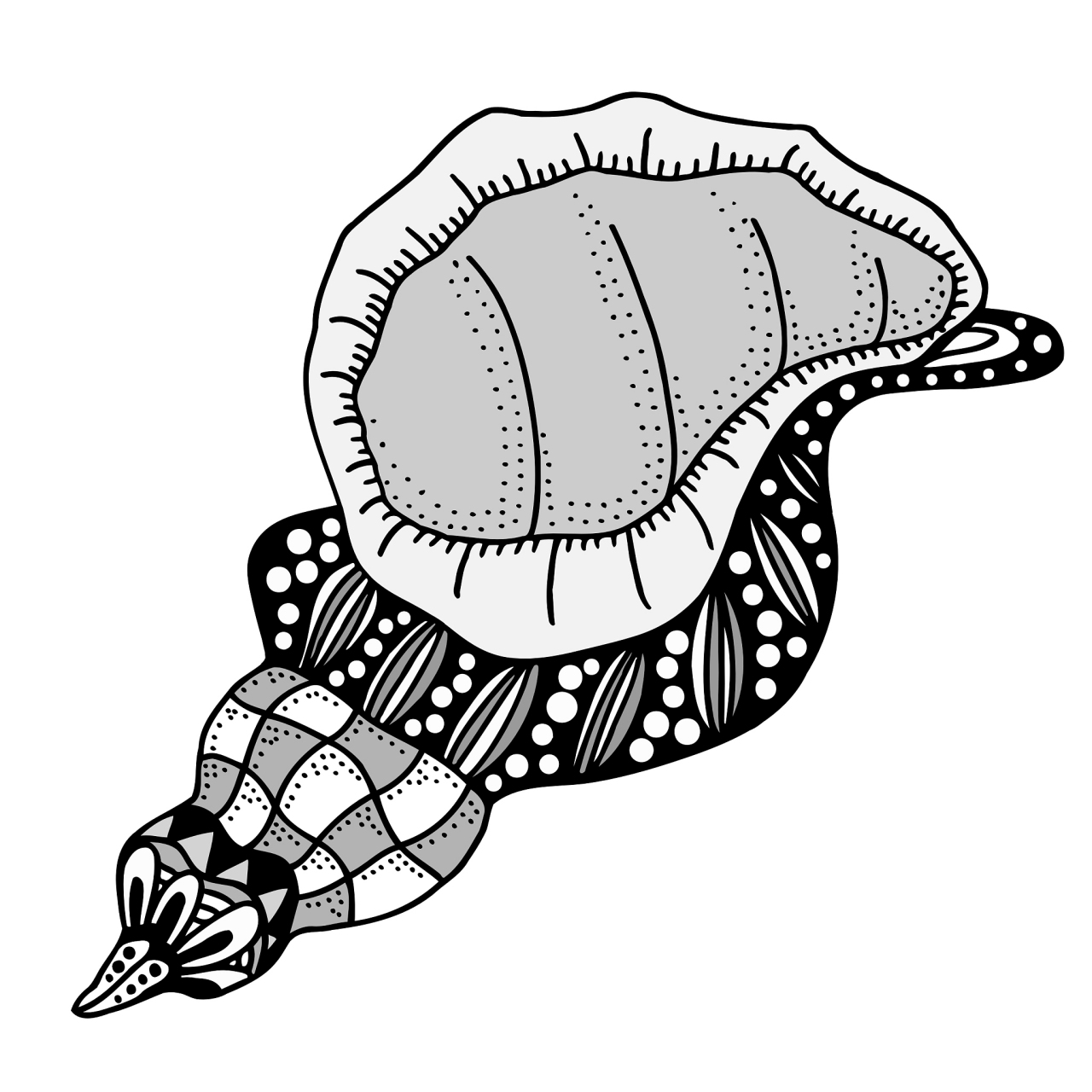 快来欣赏一组小海螺简笔画吧