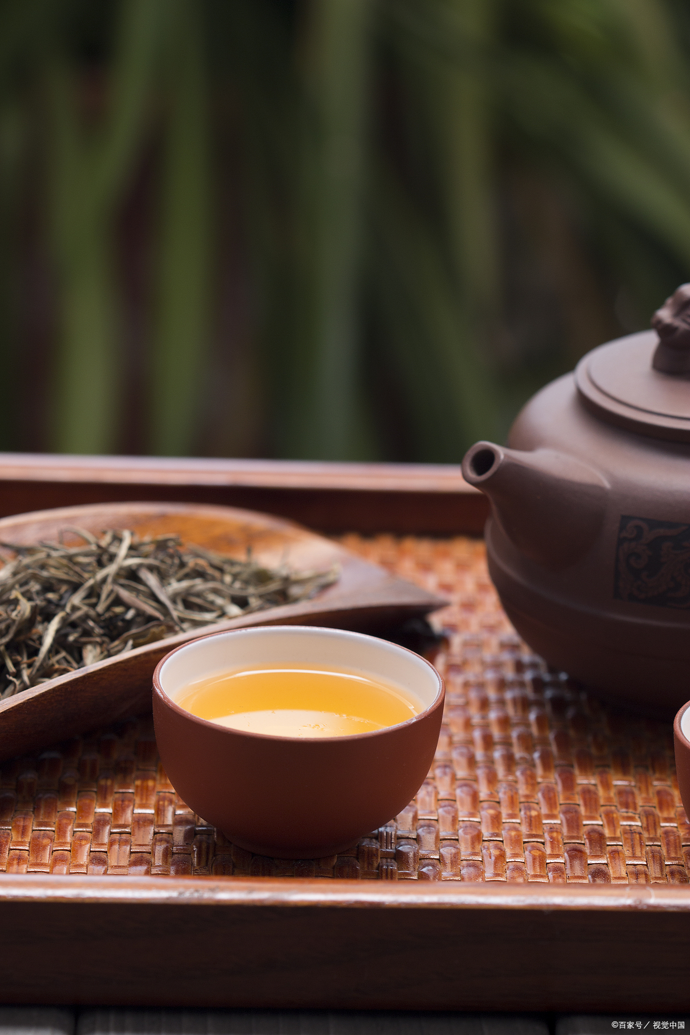 众所周知,喝茶是一种古老而又科学的养生生活方式,据