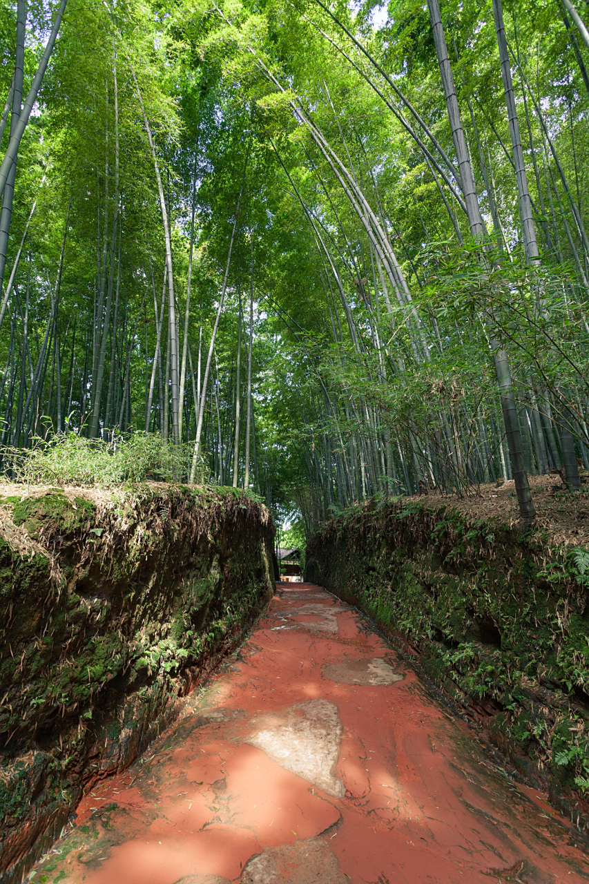 四川宜宾蜀南竹海,竹林深处的清新空气  当你走进蜀南竹海时,首先映入