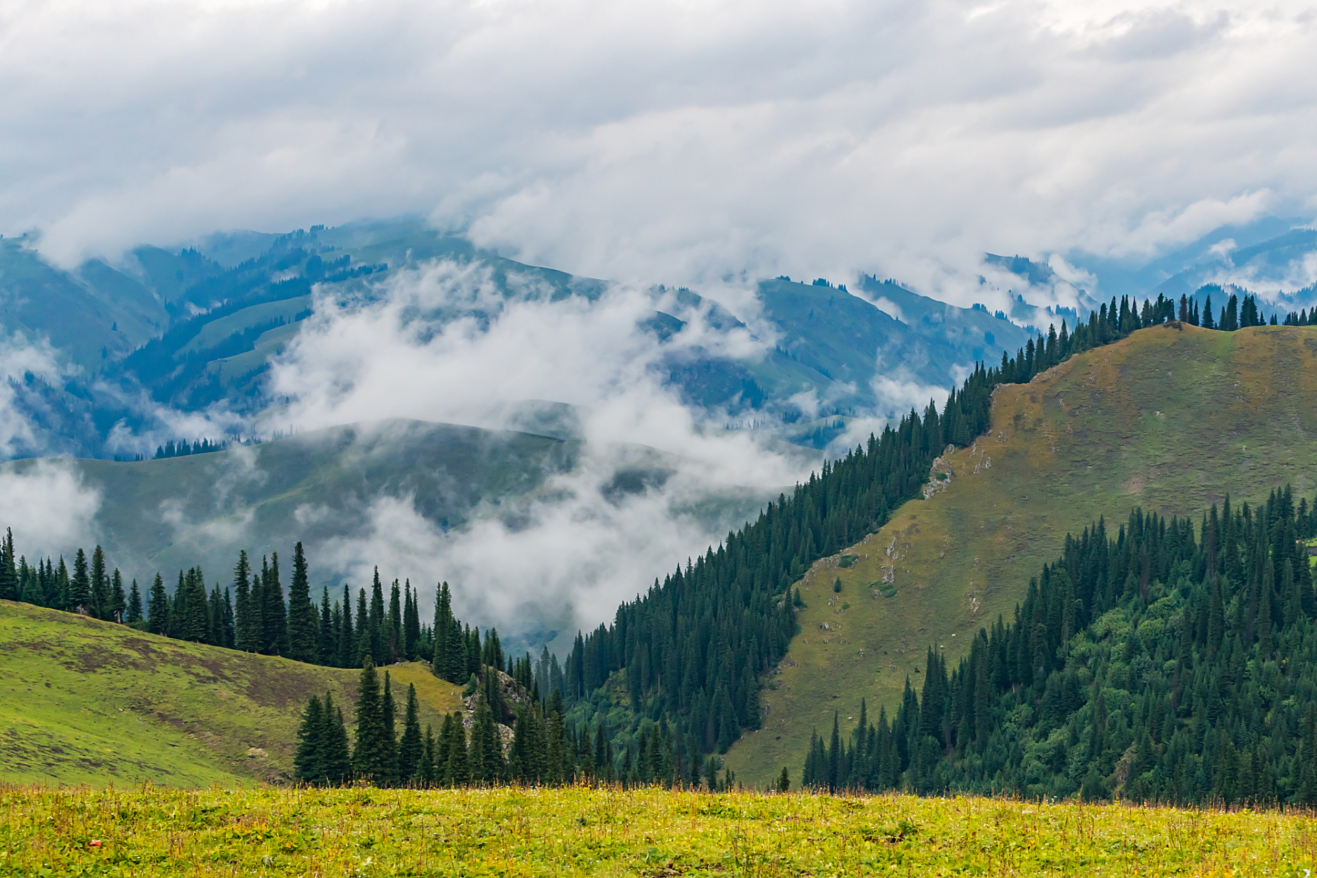 奇遇那拉提#新疆那拉提金塔湾是新疆伊犁哈萨克自治州的一处著名景点