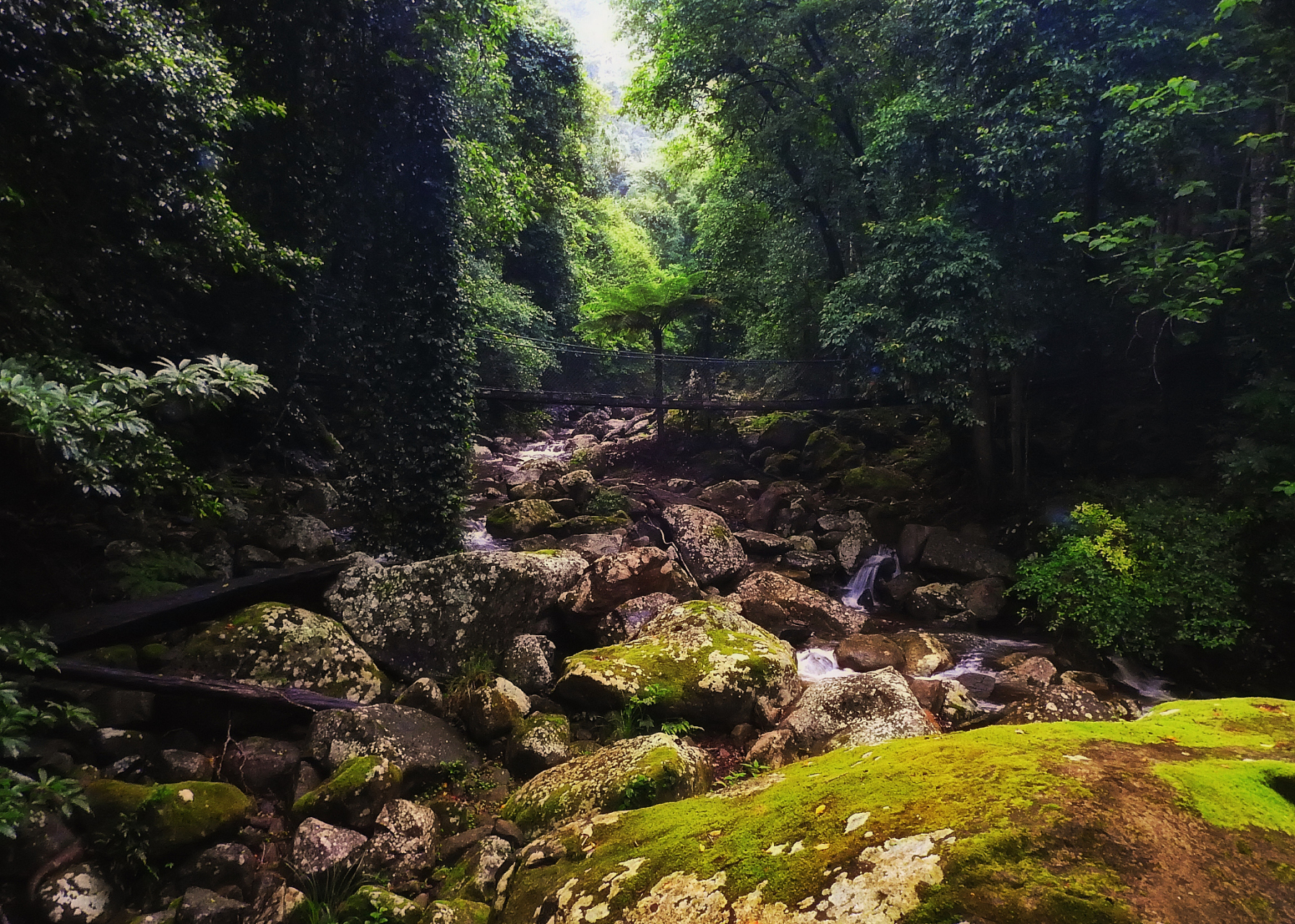 黄荆老林景区位于泸州市古蔺县川黔两省交界处,紧临贵州省赤水市,是