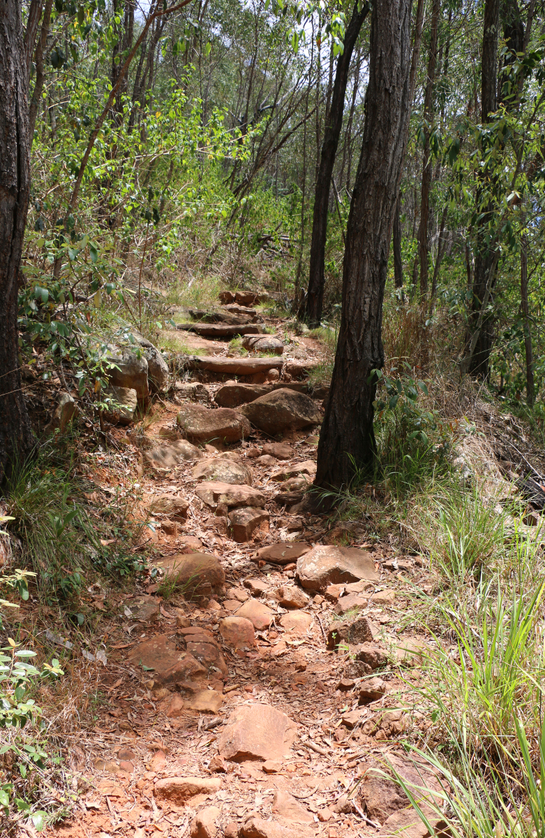 条通往成功的道路是平坦而宽阔的,相反,它往往是崎岖不平,荆棘丛生的