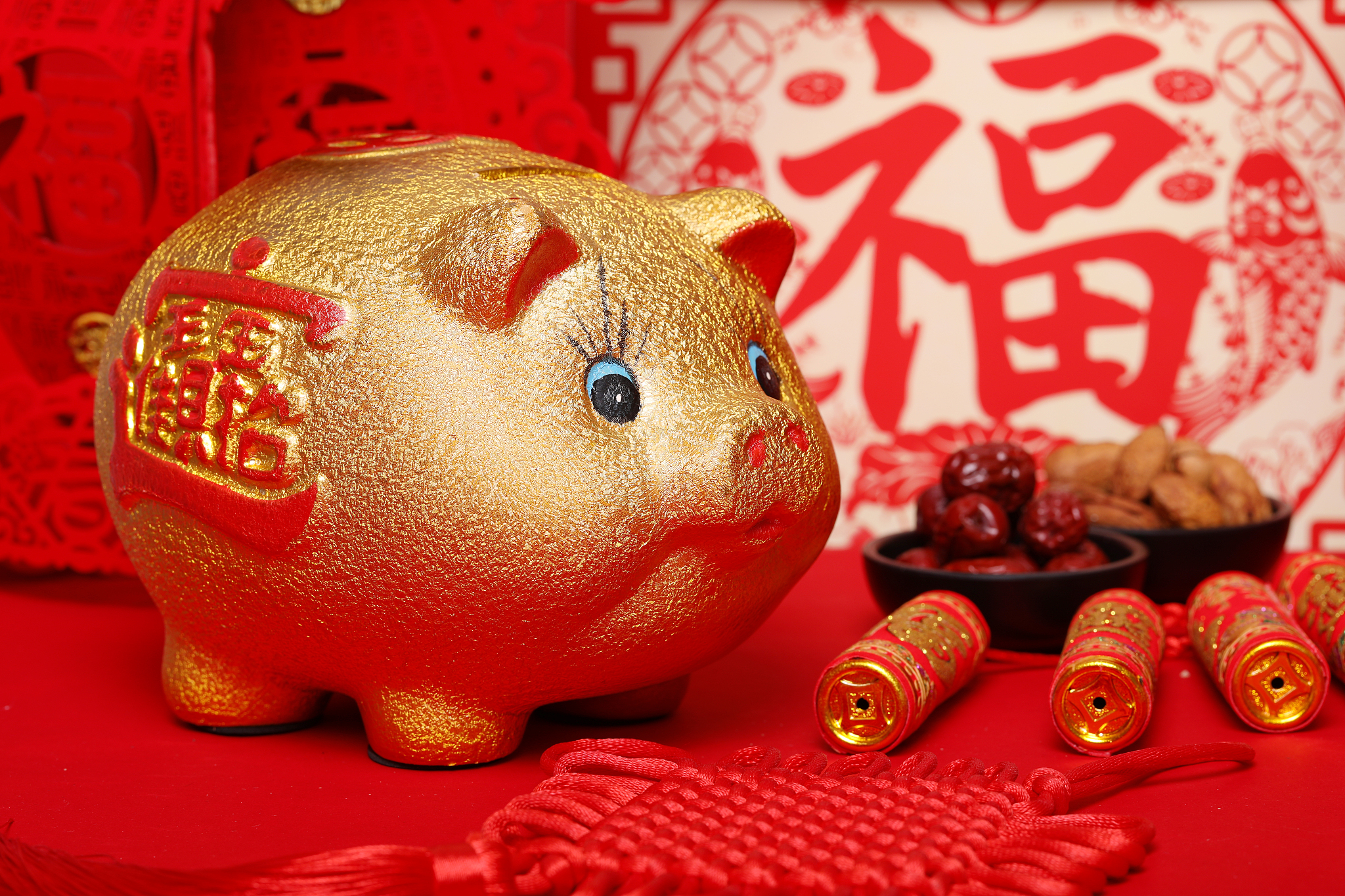 生肖猪2月1日运势(2021年生肖猪2月份运势)