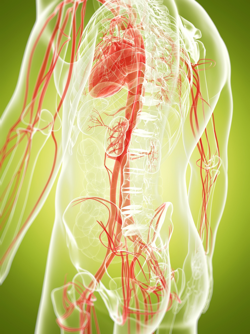 椎动脉狭窄:手术方式大盘点 今天来聊聊一个常见的血管问题——椎动脉