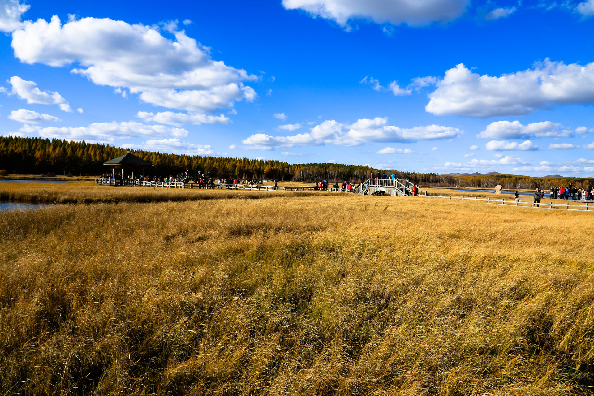 清代皇家猎苑--木兰围场,位于河北省东北部(承德市围场满族蒙古族自治