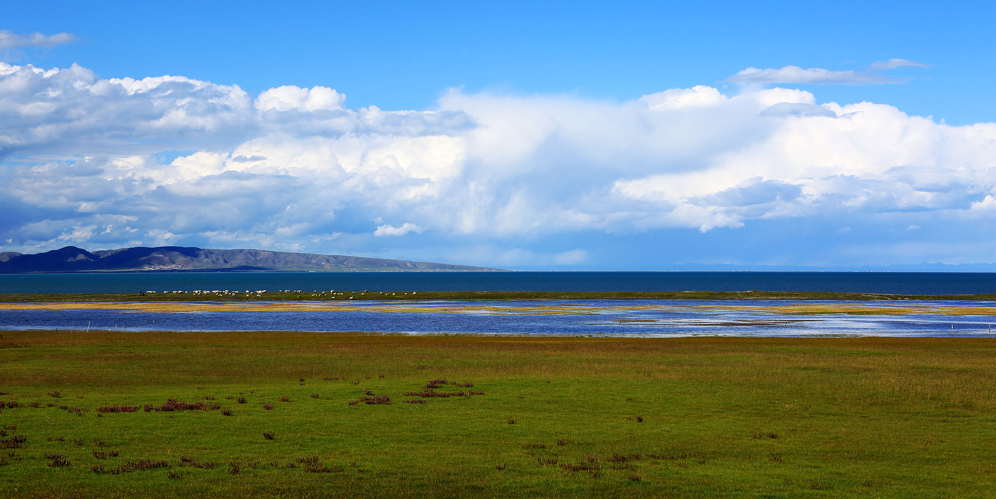 夏天游览果洛藏族自治州的青海湖,湖边风光如何?