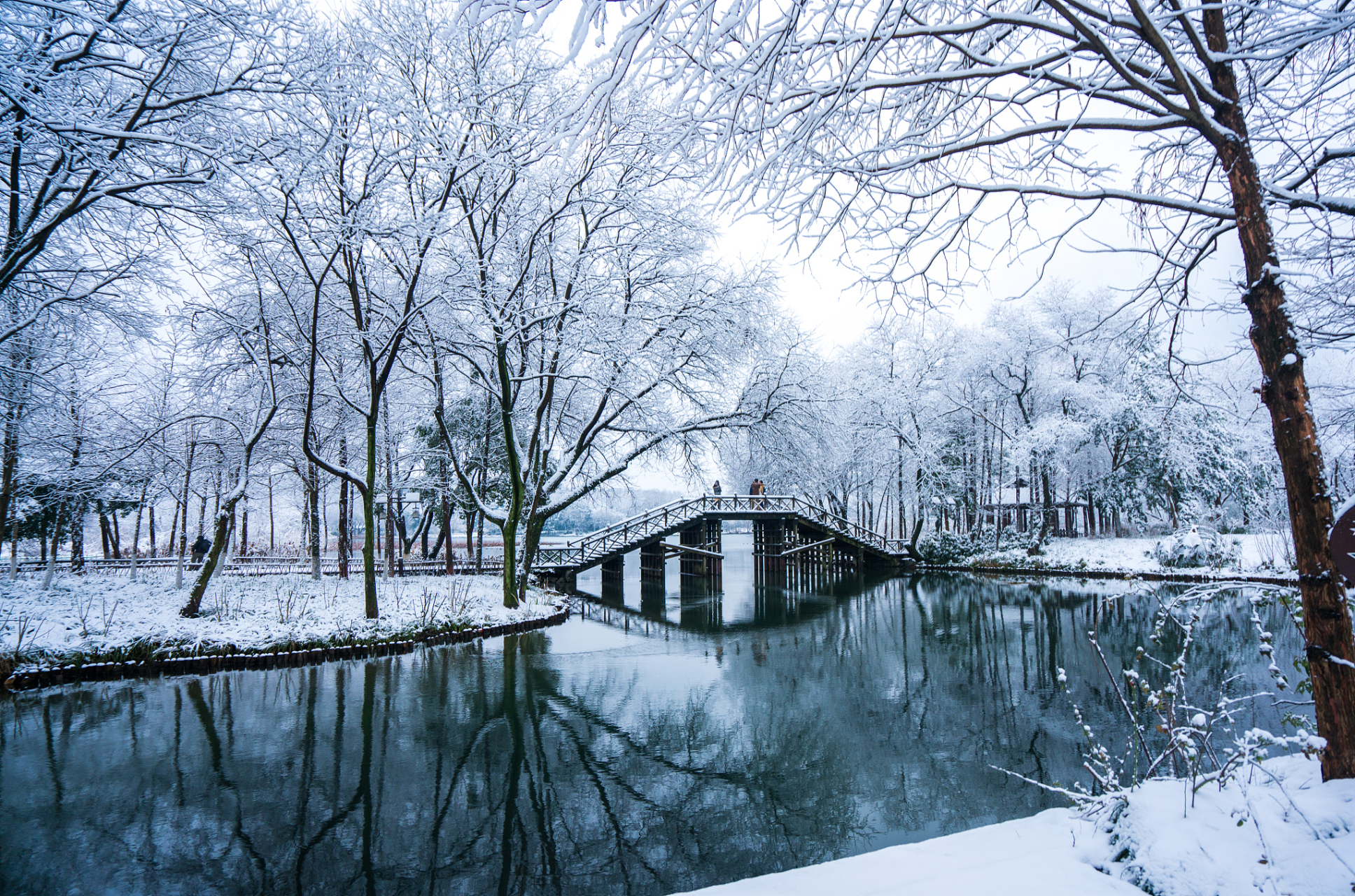 西湖雪景的珍贵时刻 西湖的美丽在四季中都有不同的表现,但其中最珍贵