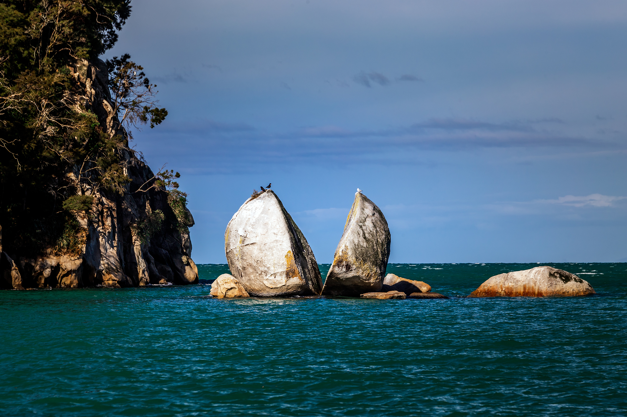 广西钦州的三娘湾海豚