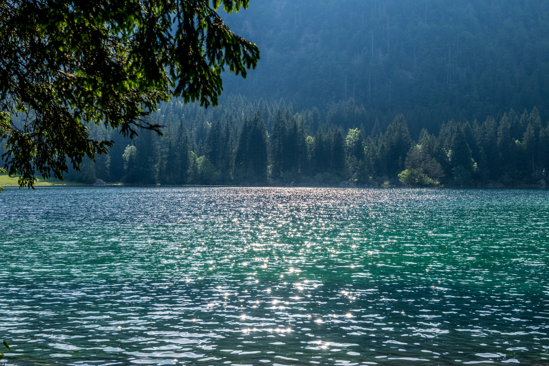 一池湖水,水面如果非常平静,就会像镜子一样,可以映照万物.