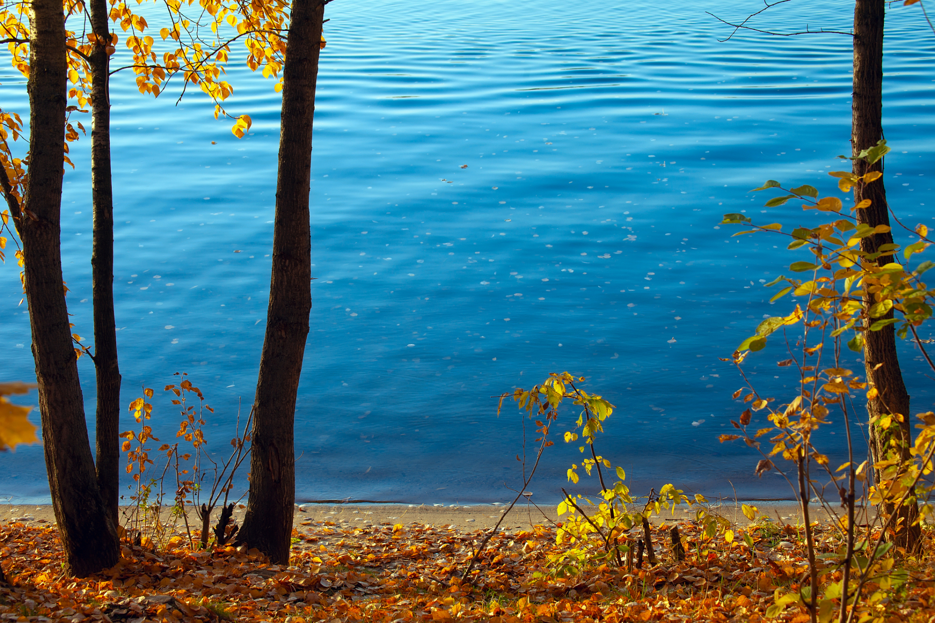 这样的行为,真的很残忍!  "聊天软件"中的暧昧,与"爱"无关!