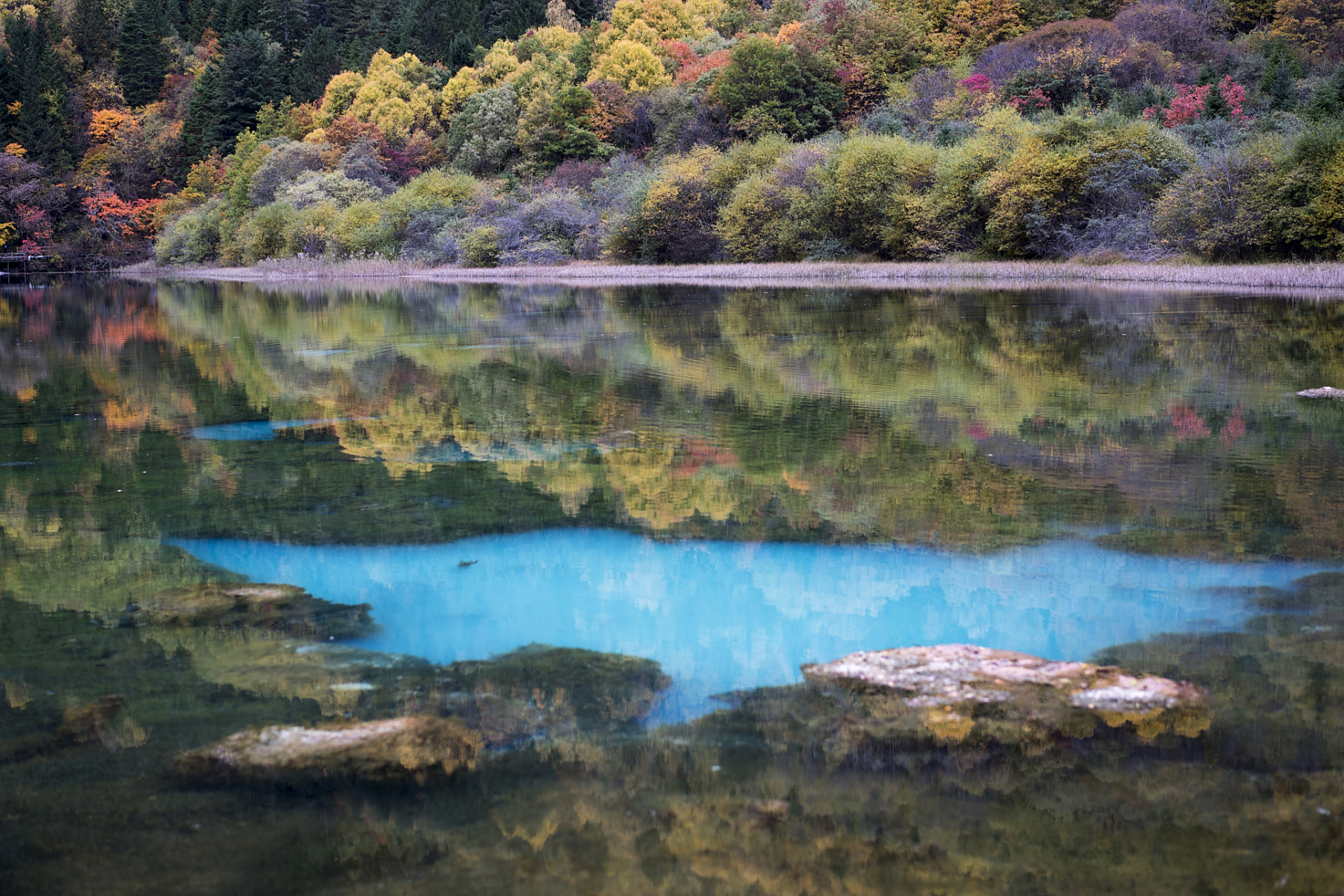 只需要继续往前走,便来到了五彩湖群.