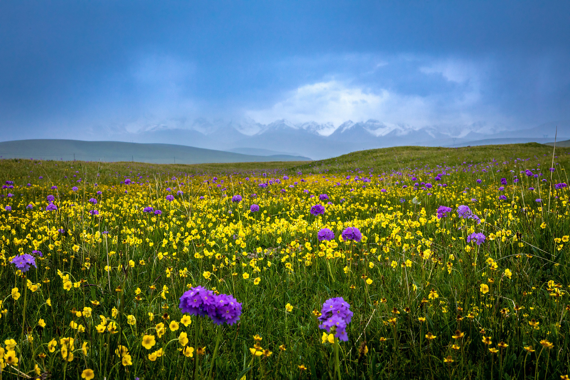 内蒙古黄花沟旅游区,是一处充满神奇传说的高山草原地形,吸引着无数