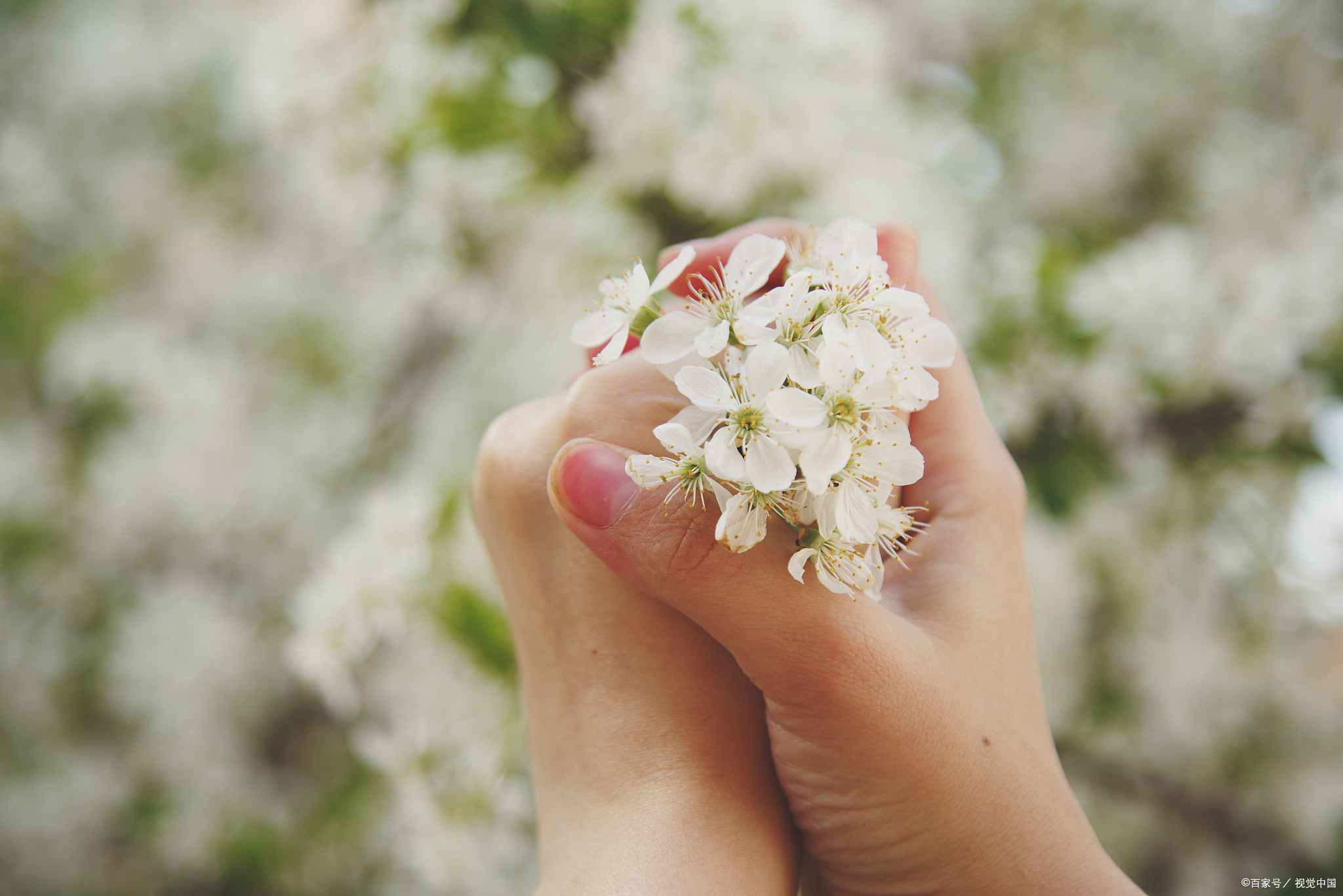 女人主动为你做这些事,其实就是在说,她想和你一起生活