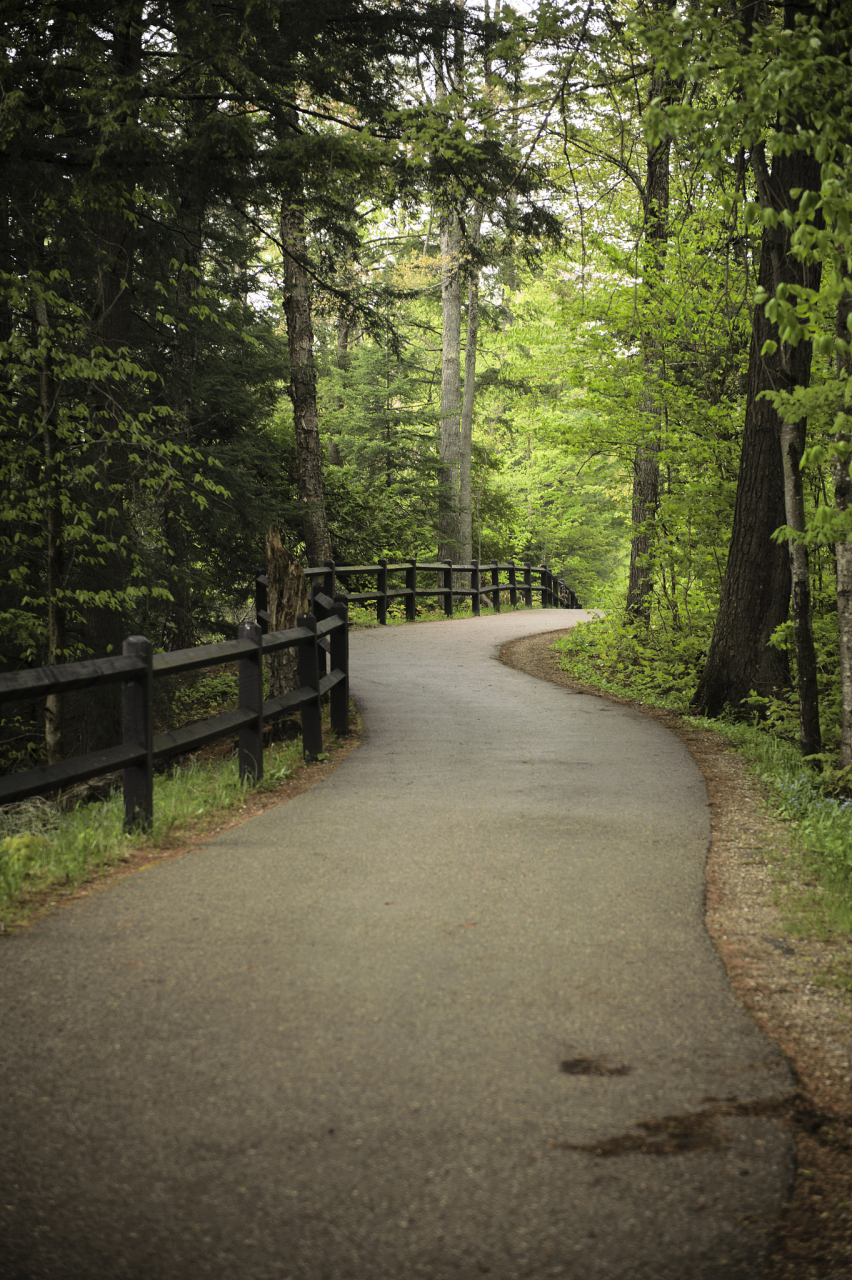 "森林里有两条路,而我选择了人迹最少的那一条,从此决定了我一生的