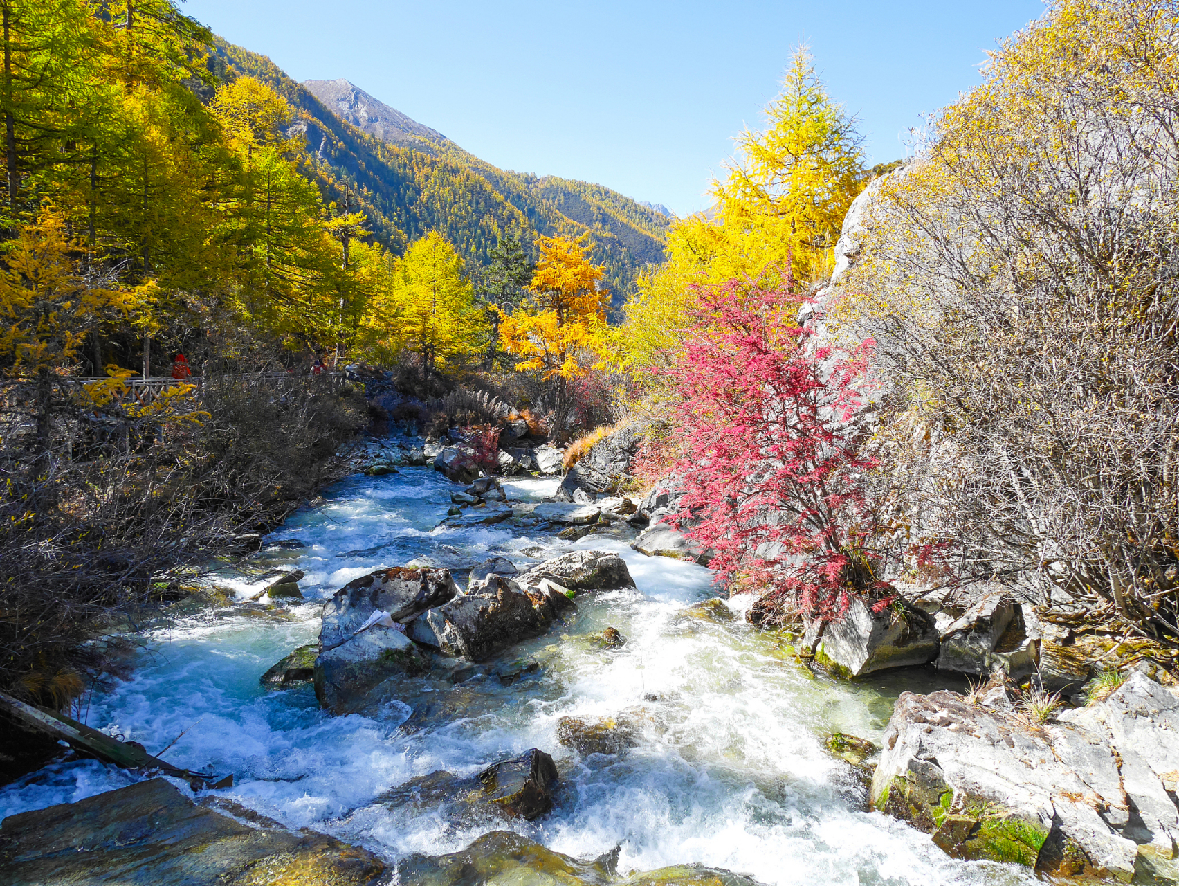 位于岷山山脉与邛崃山脉交汇处的黑水县麦扎乡境内,海拔2400米-4100米