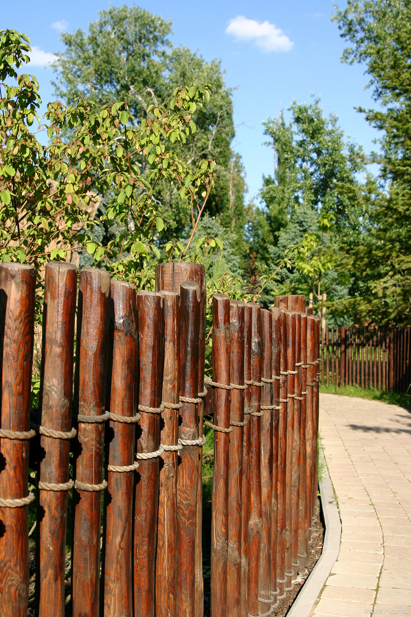 成年人的圈子,关系再好,也不要拆掉篱笆