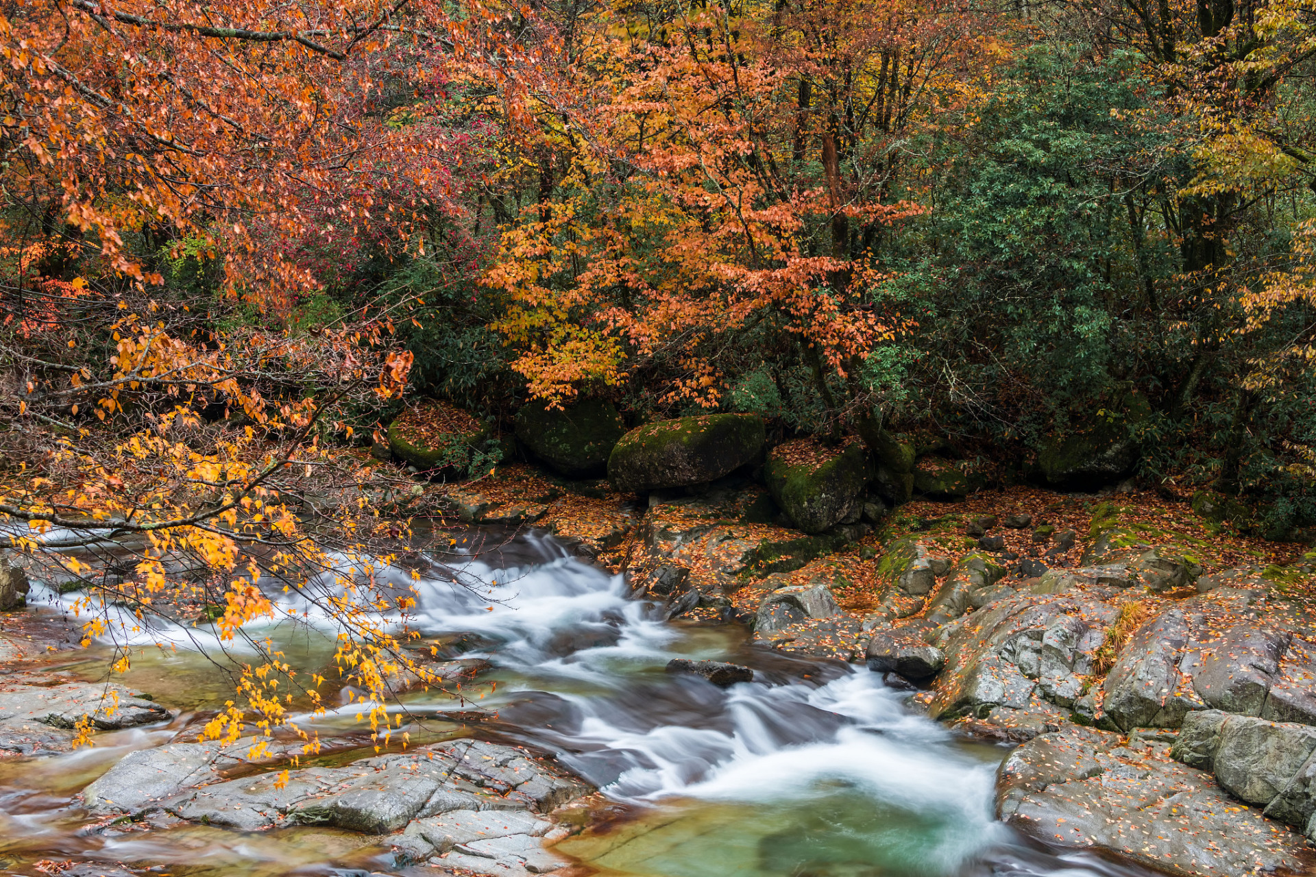 黄柏塬,位于中国宝鸡市太白山西南角的黄柏塬镇,是一个不容错过的宝藏