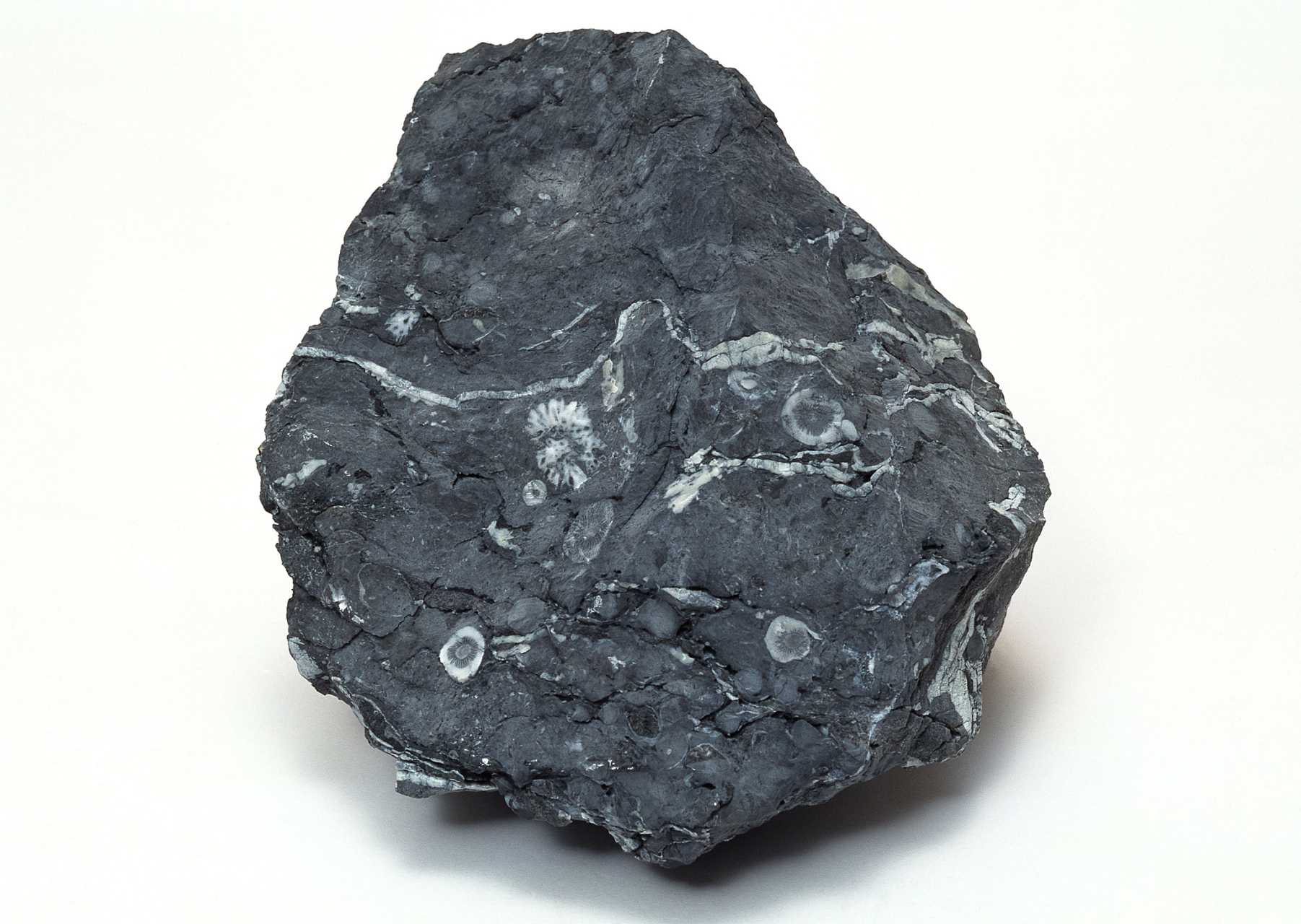 陨石是从宇宙空间坠落到地球或其他天体表面的小天体,由宇宙碎片,行星