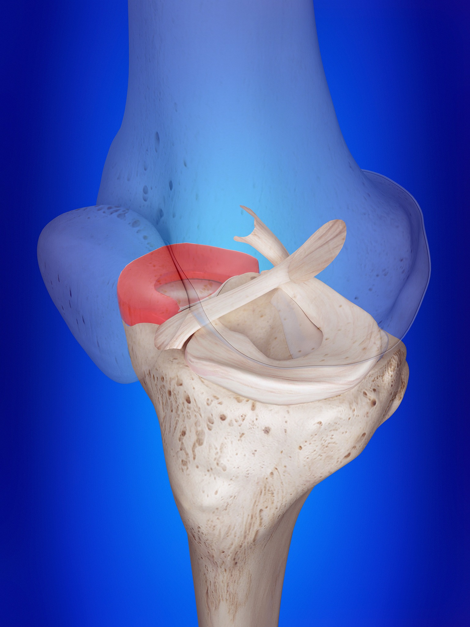 每次跑步时膝盖承受的冲击力相当于三倍体重,但很少