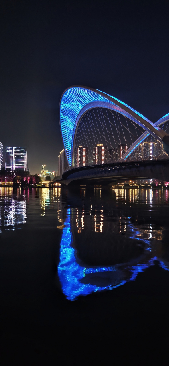 上海之鱼夜景图图片