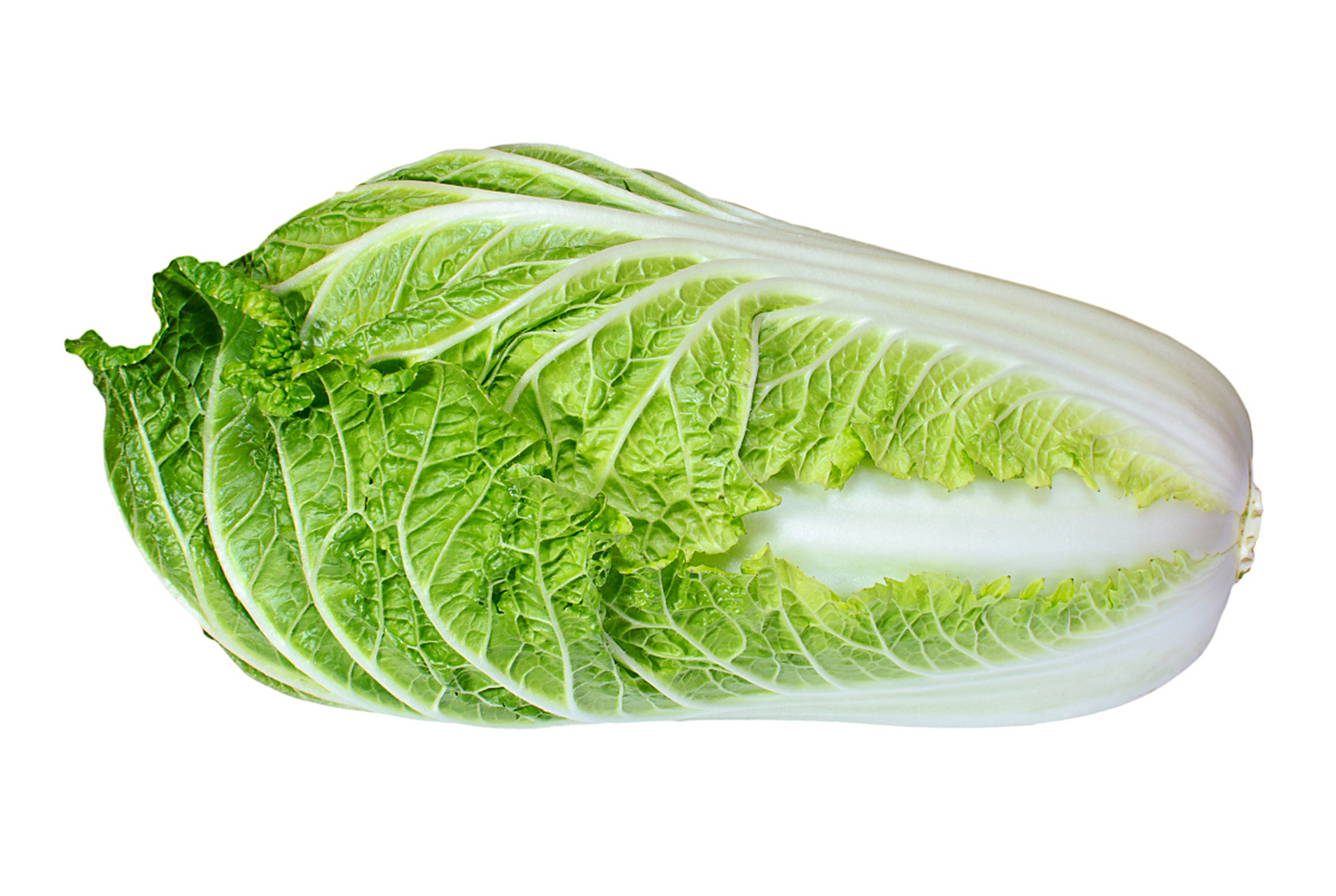 白菜有什么功效和作用?