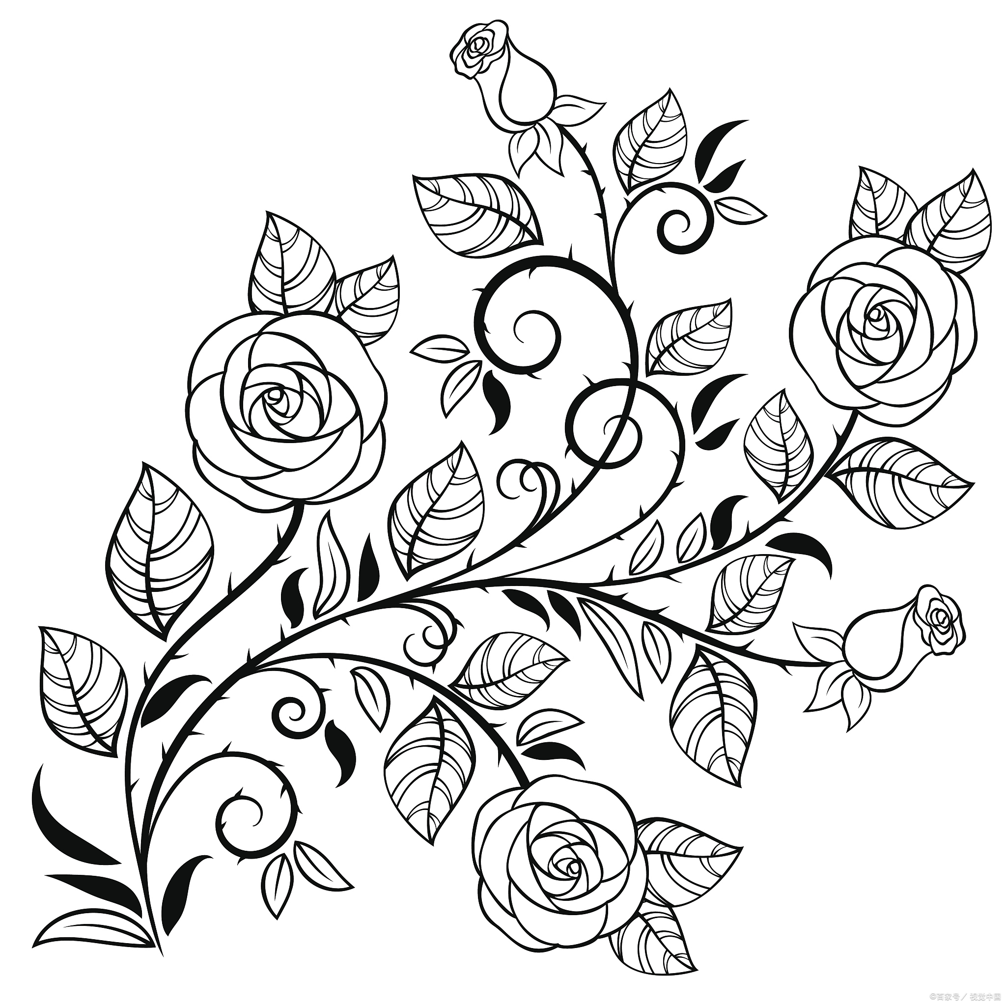 准备工作:绘画材料: 纸张,铅笔,橡皮擦,细毛笔或者细线条的画笔,调色