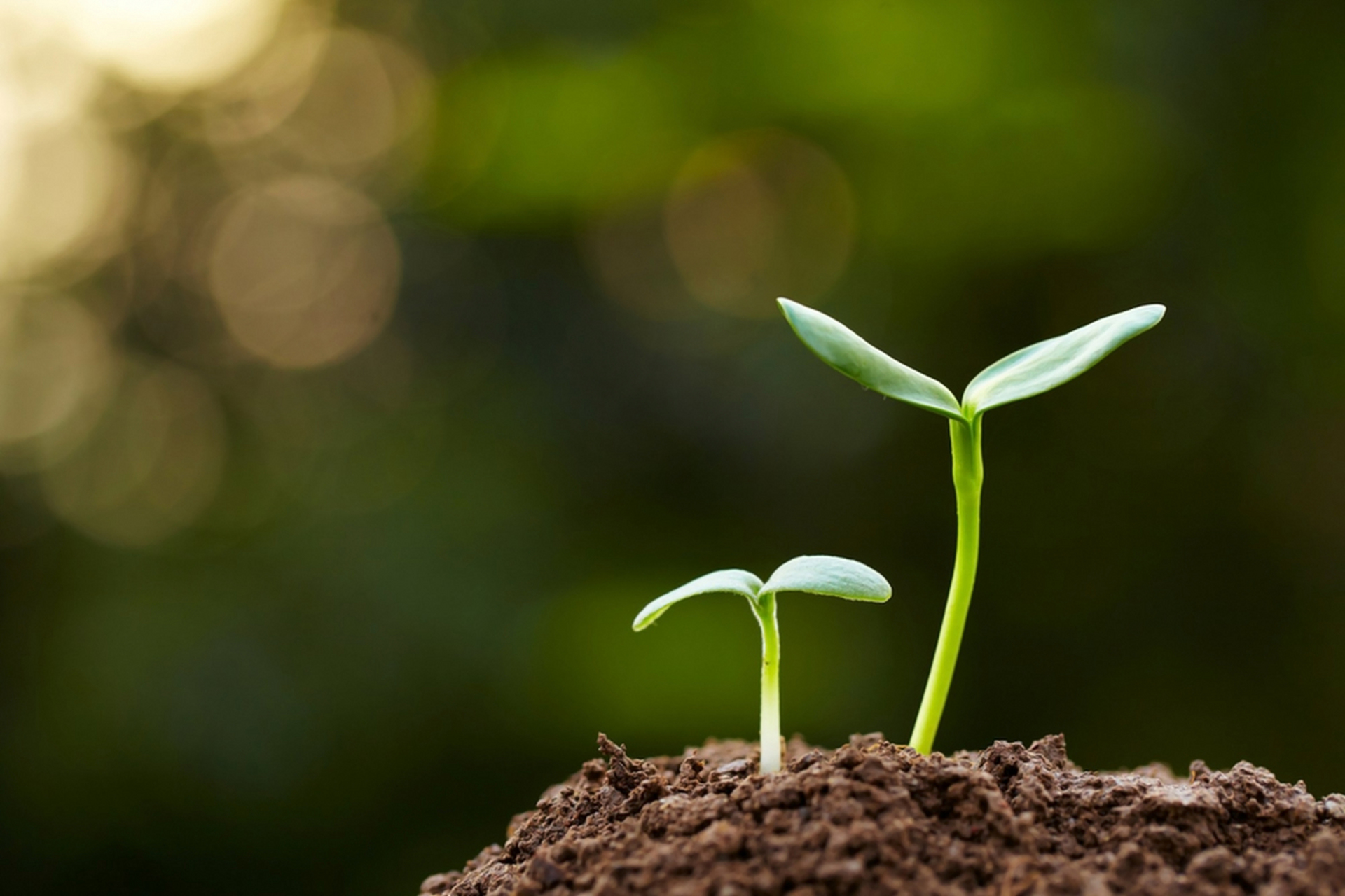 沉睡—出土 —盛世—轮回  沉睡的岁月中,我们埋下了珍宝 出土的那一