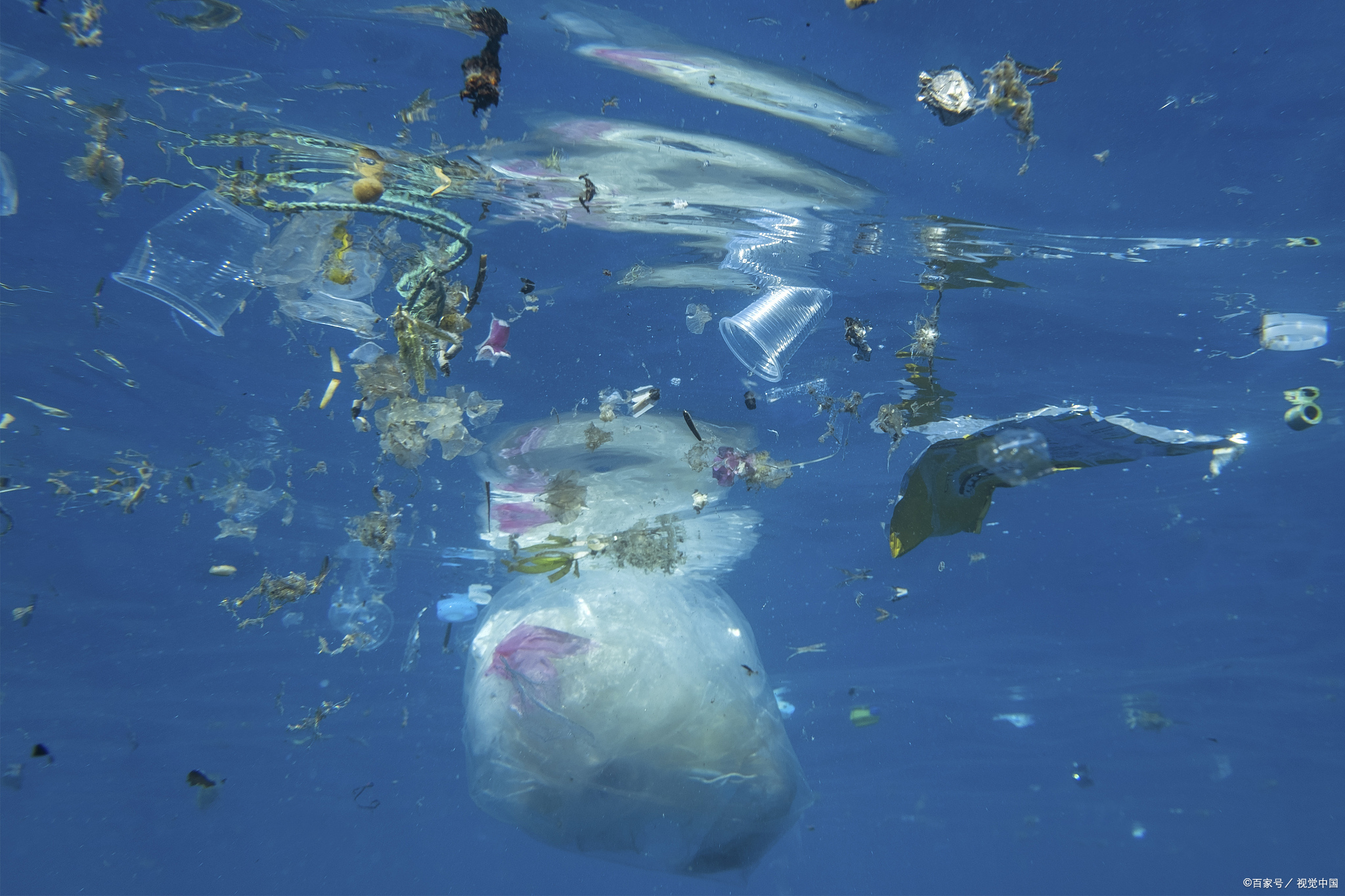 海洋的警示信号:核污染水对珊瑚礁和海洋生态系统的影响