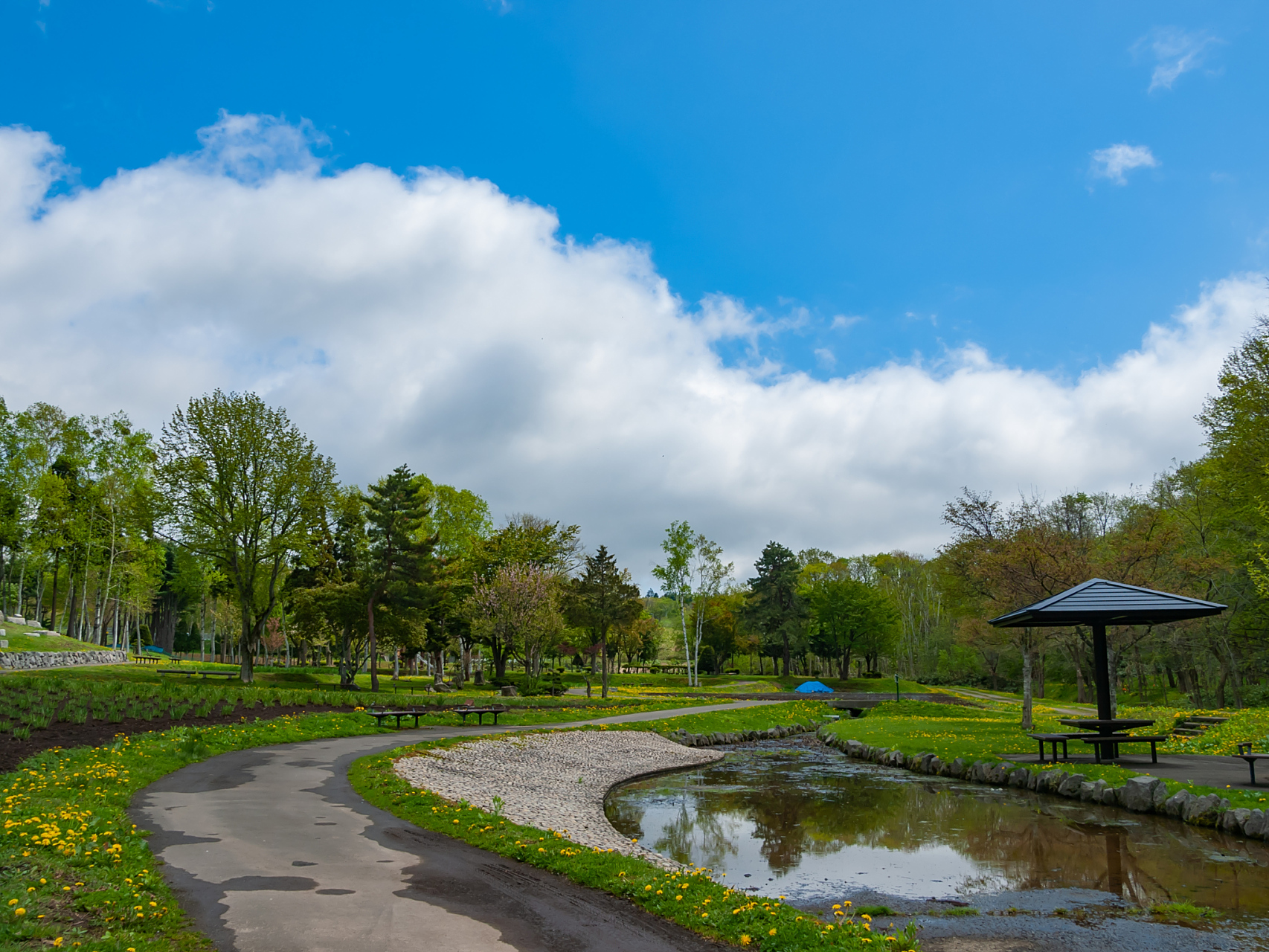 浦东滨江森林公园是一个集自然风光,休闲娱乐,文化科普于一体的综合性