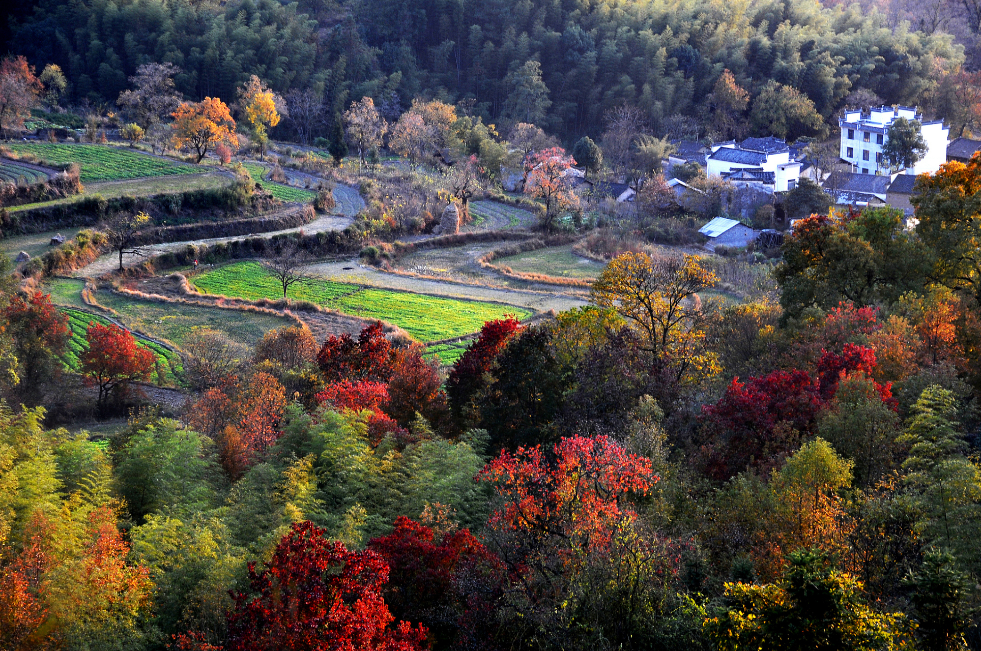 在安徽省黄山市歙县霞坑镇,隐藏着一个世外桃源般的古村落——石潭村.