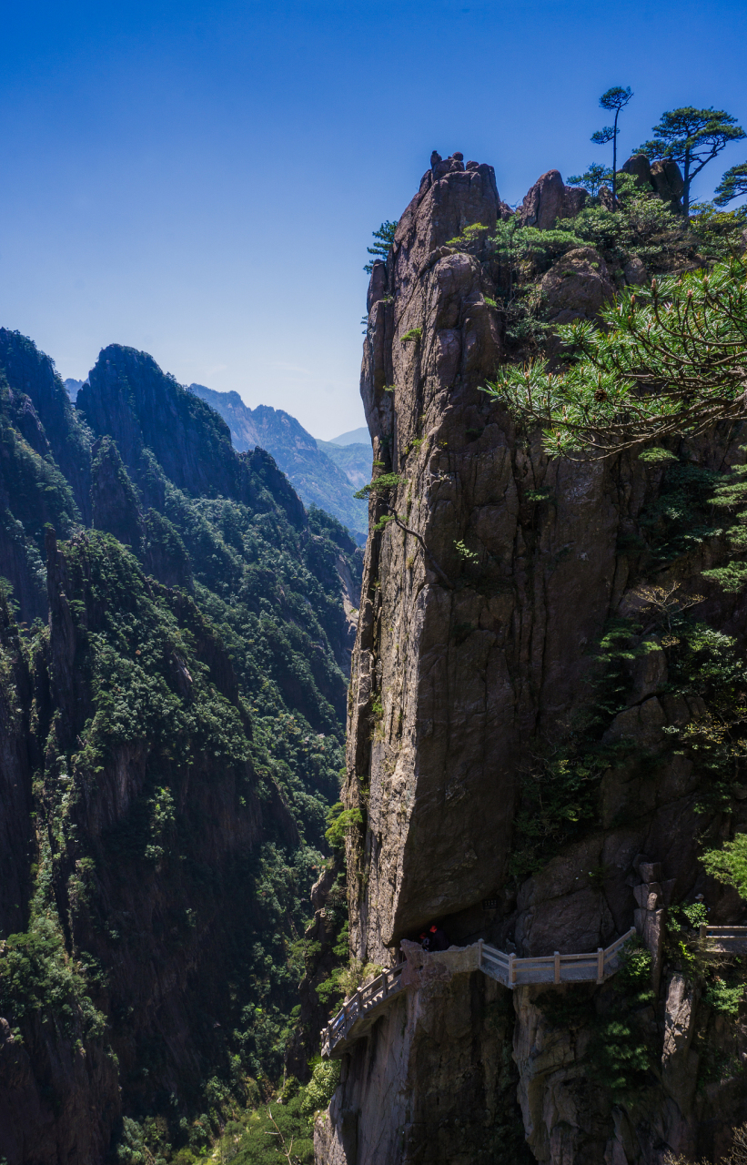 五一走遍金子山,赏杜鹃花,玩极限,感受民族风情 五月是广东欣赏高山