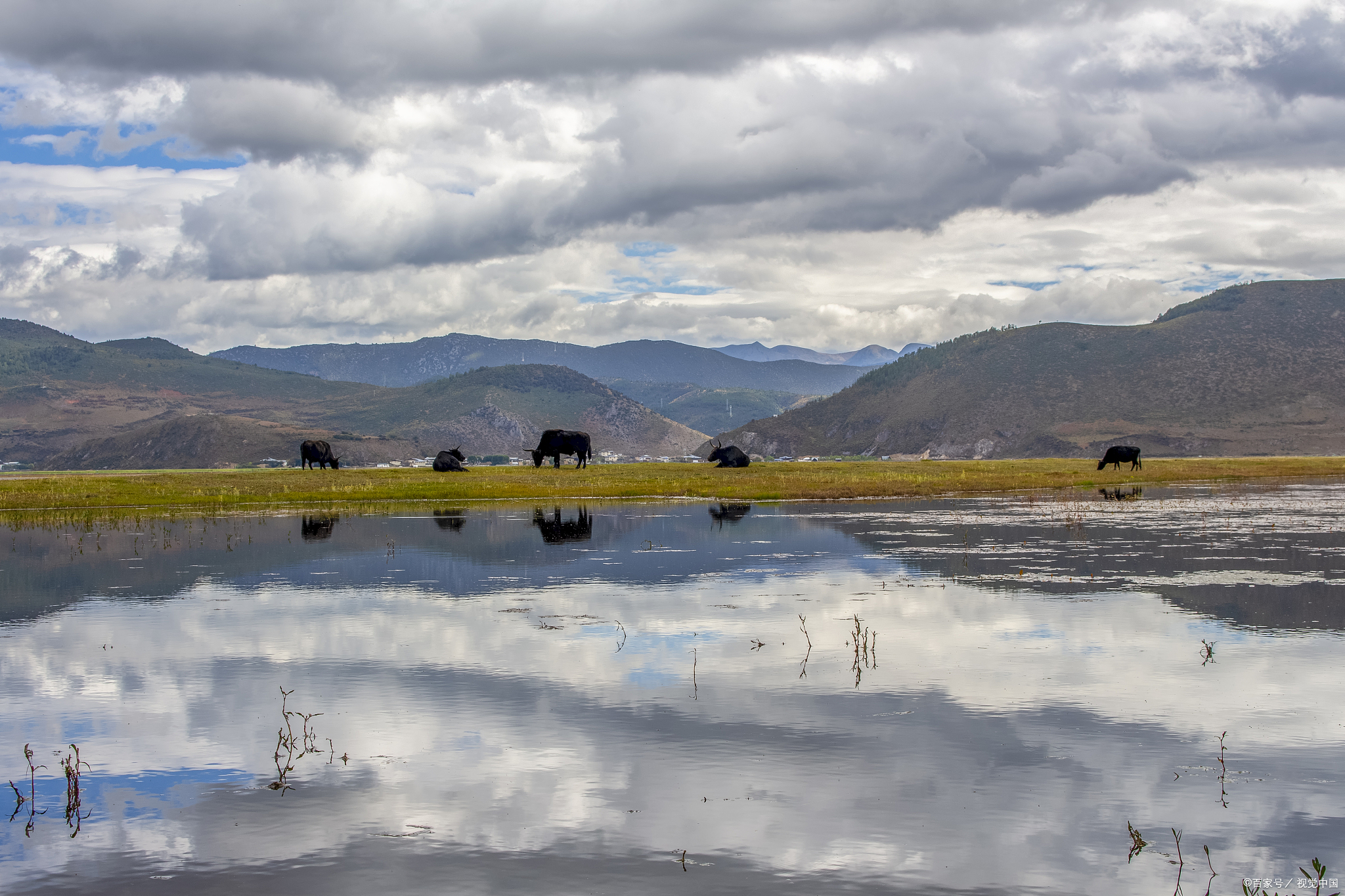 山南措美县哲古湖,鸟类天堂神仙视角!