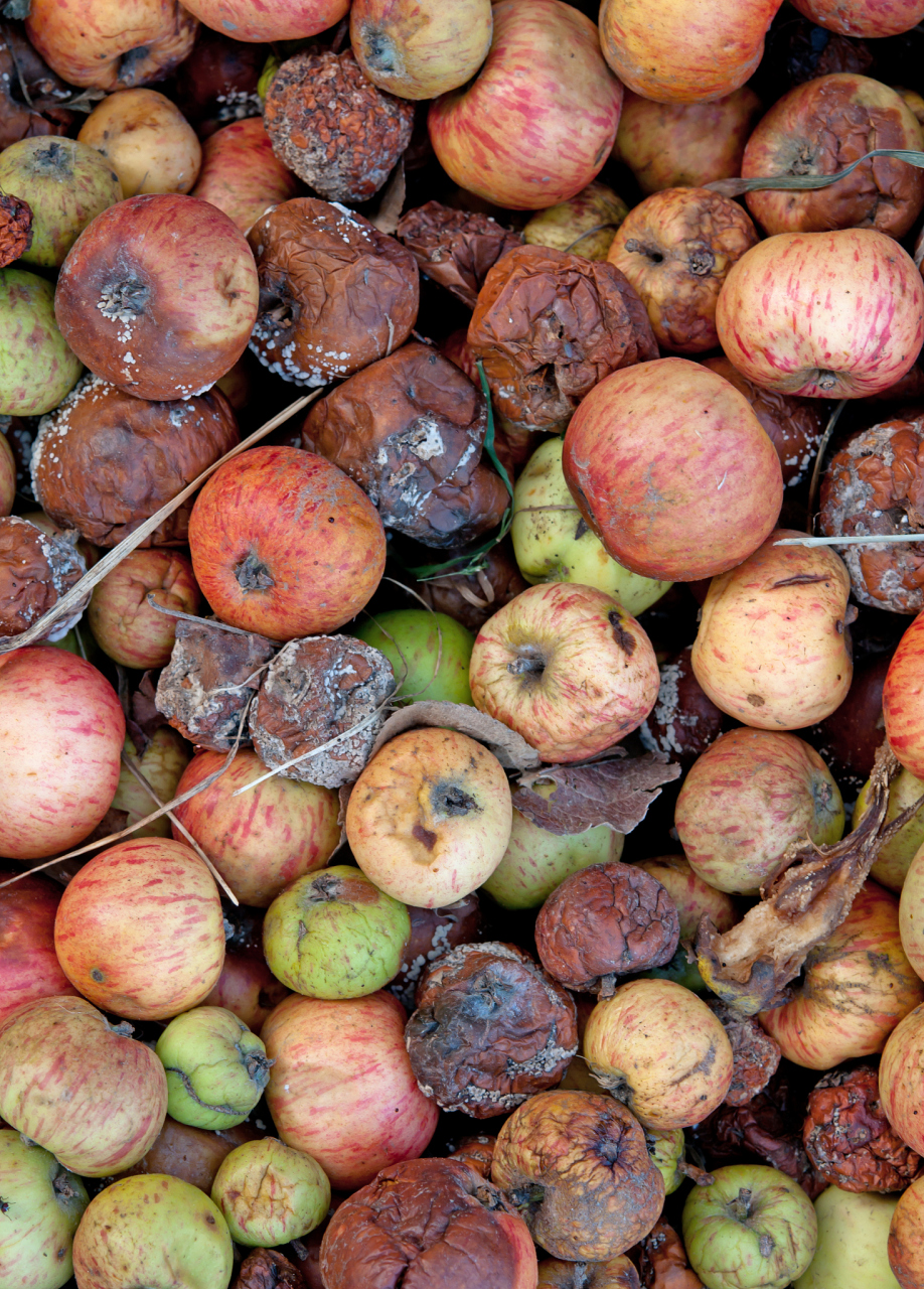 别急,咱们来聊聊.