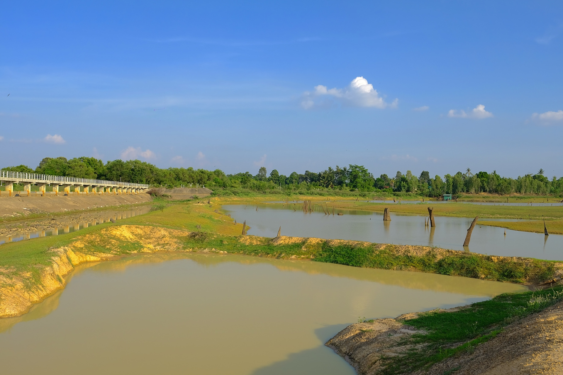 田东湿地公园位于广西百色市田东县,占地437亩,分为湿地公园和设有