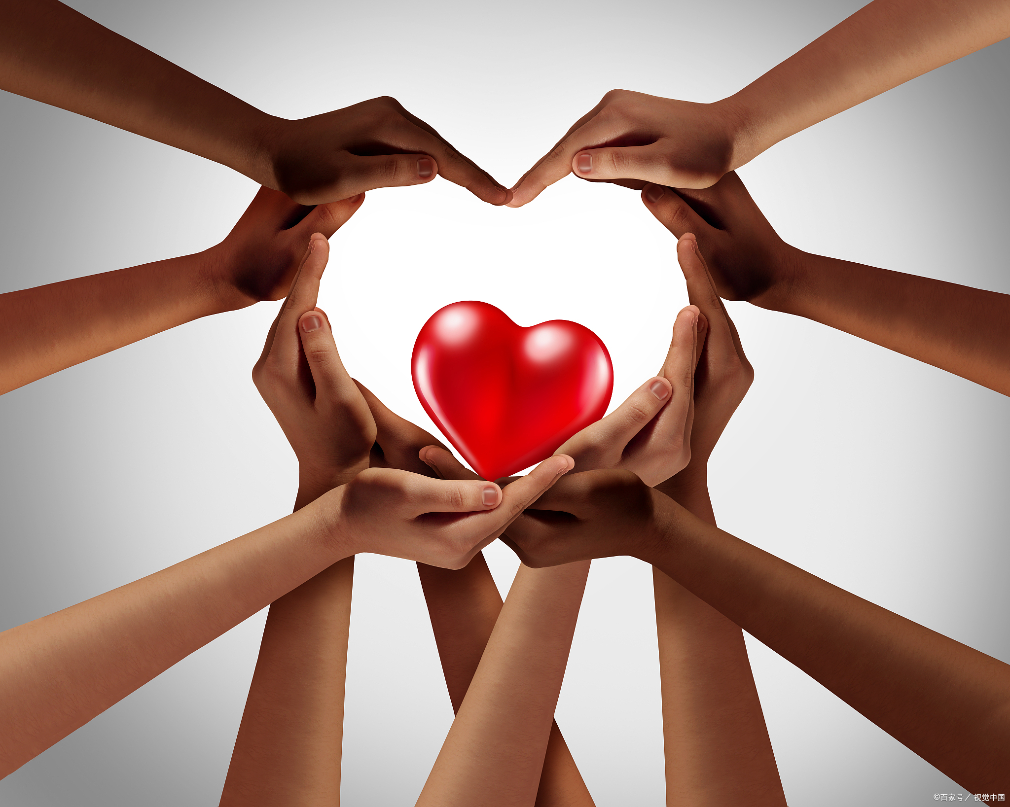 她们联合浙江省爱心事业基金会和守护花蕾计划公益组织,推出 "公益