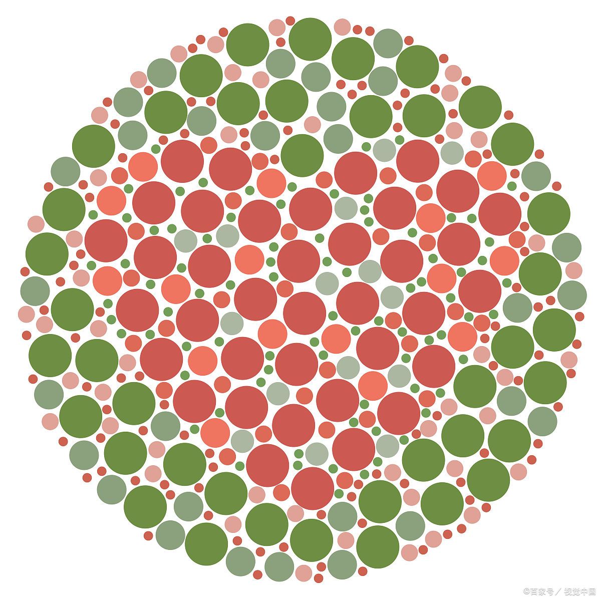 色盲#   红绿色盲患者由于无法准确分辨红色和绿色,所以在道路上可能