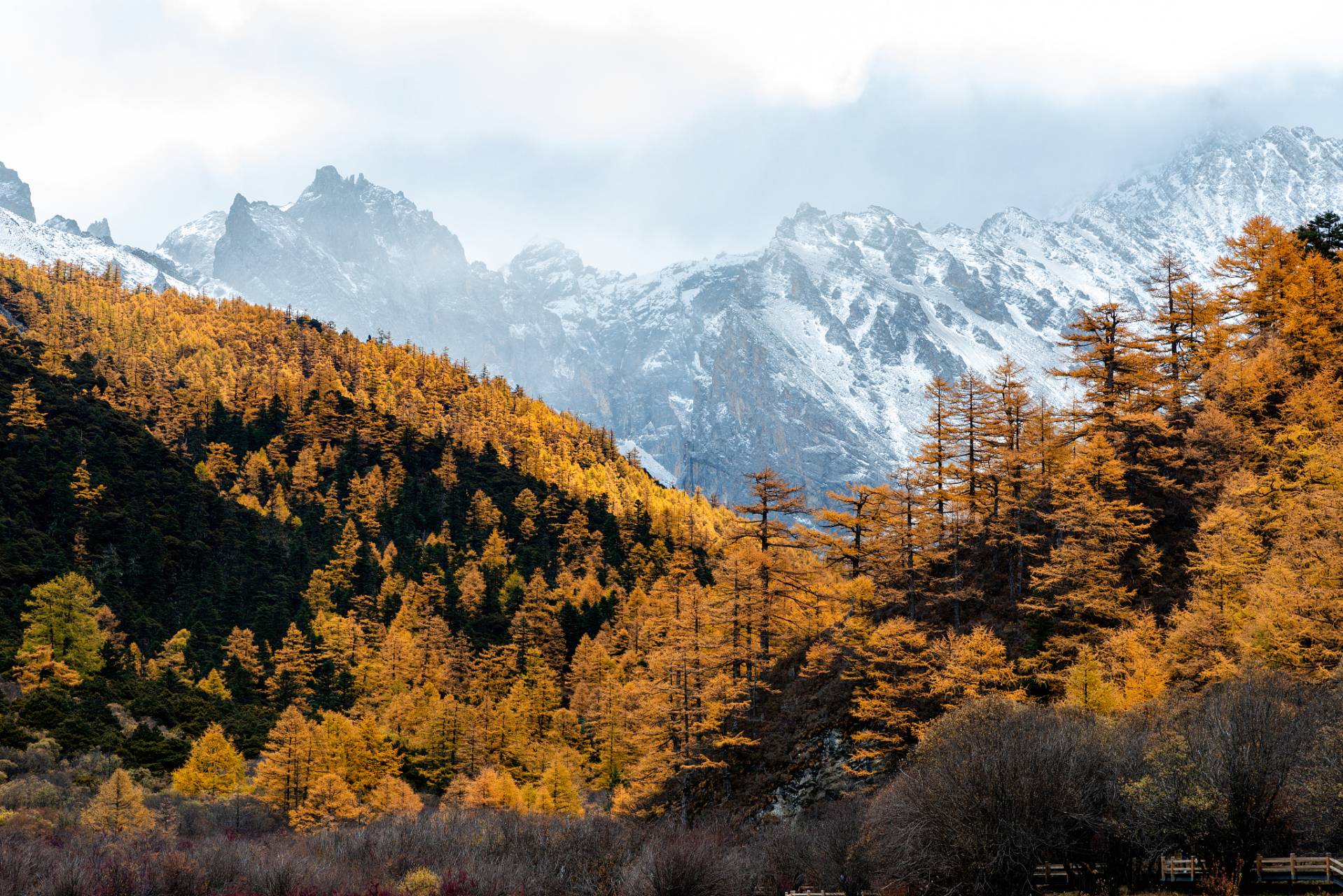 秋天的川西风景十分美丽,处处是充满生机与活力的自然之景,每一片叶子