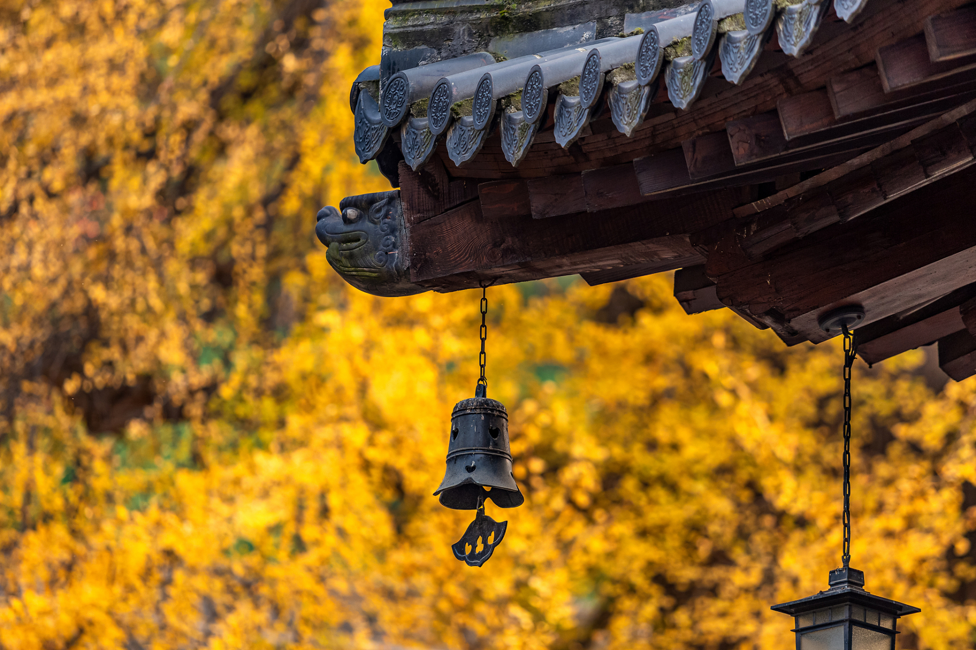 西安古观音禅寺图片