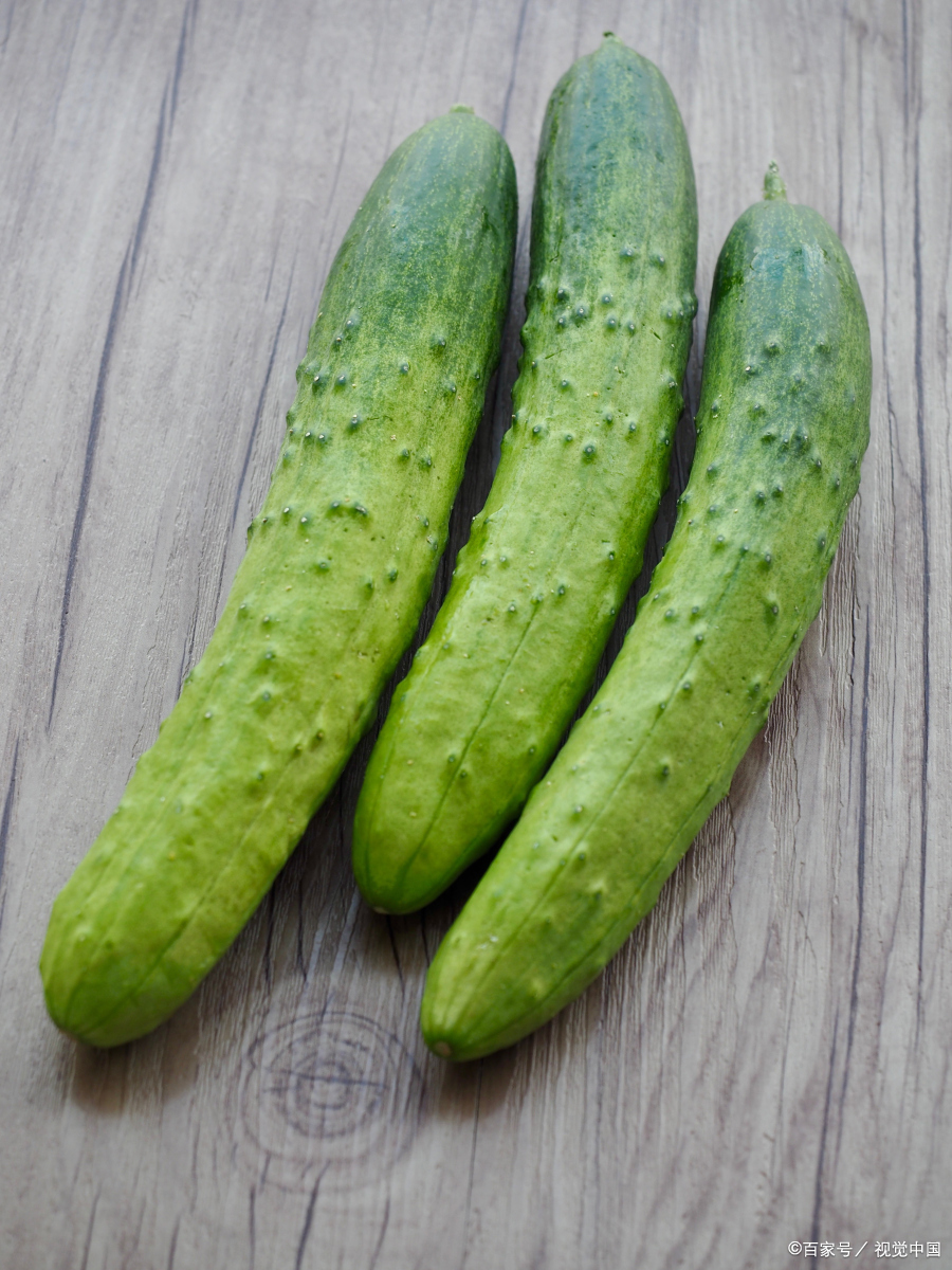 这个时间段种植晚黄瓜有几个好处