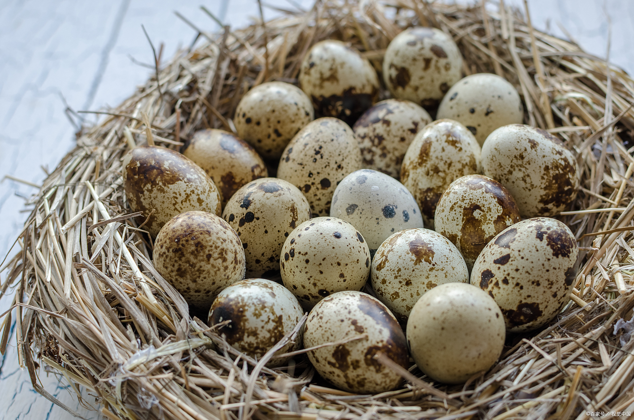 鸽子蛋的最佳吃法